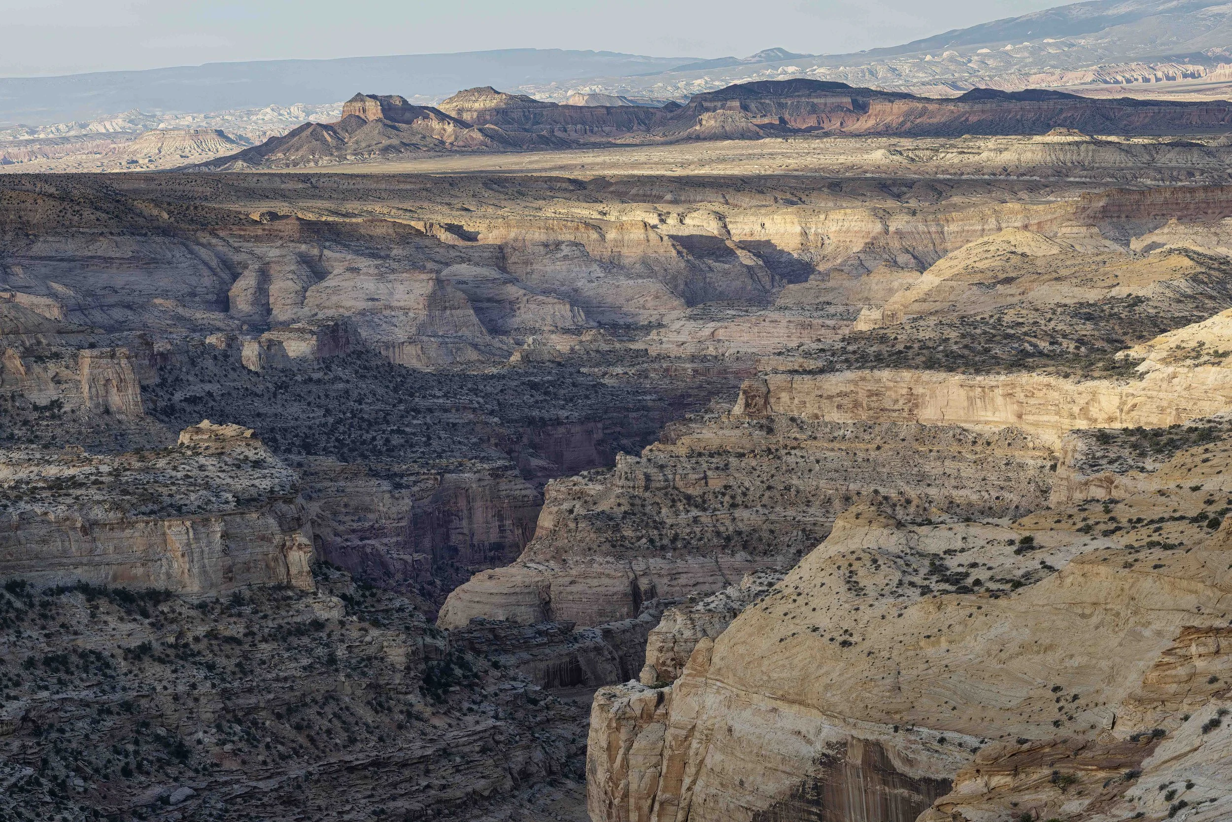 20260509-Muench Canyonlands 2026-2-2-DxO_DeepPRIME XD3-Edit-Edit-2-Edit.jpg
