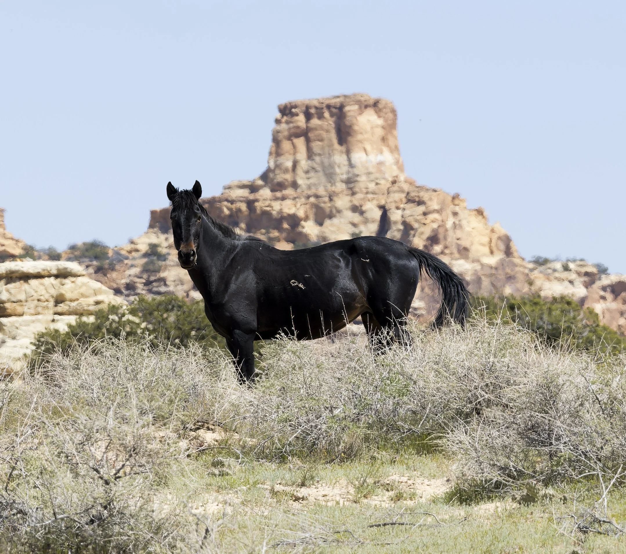 20260507-Muench Canyonlands 2026-96-DxO_DeepPRIME XD3-Edit.jpg