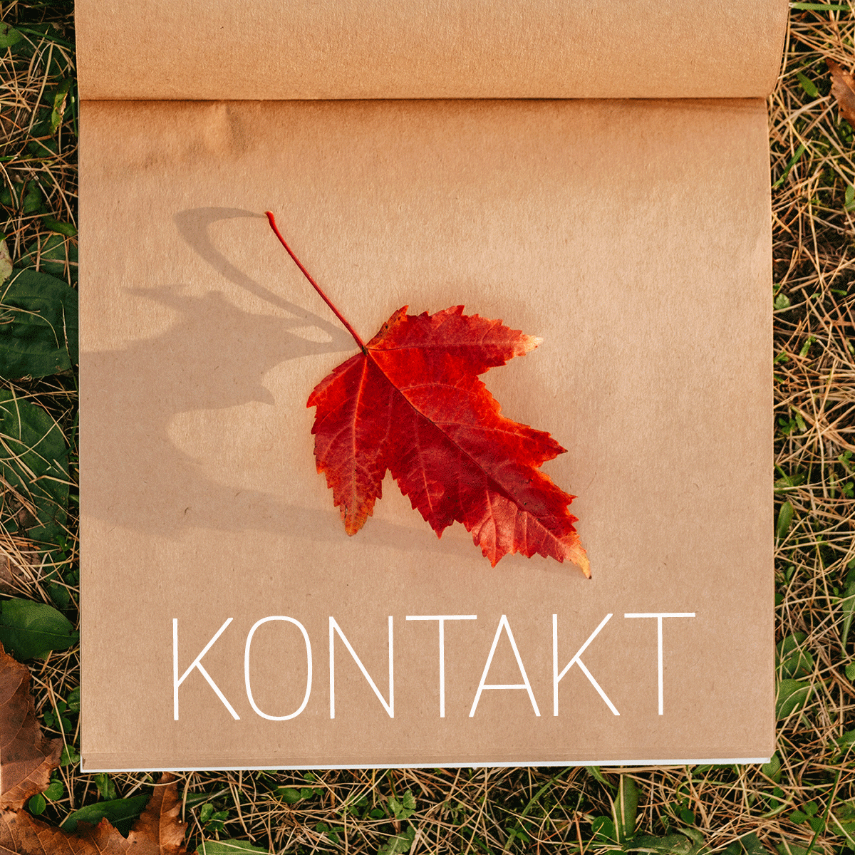 Kontakt | Anfahrt
