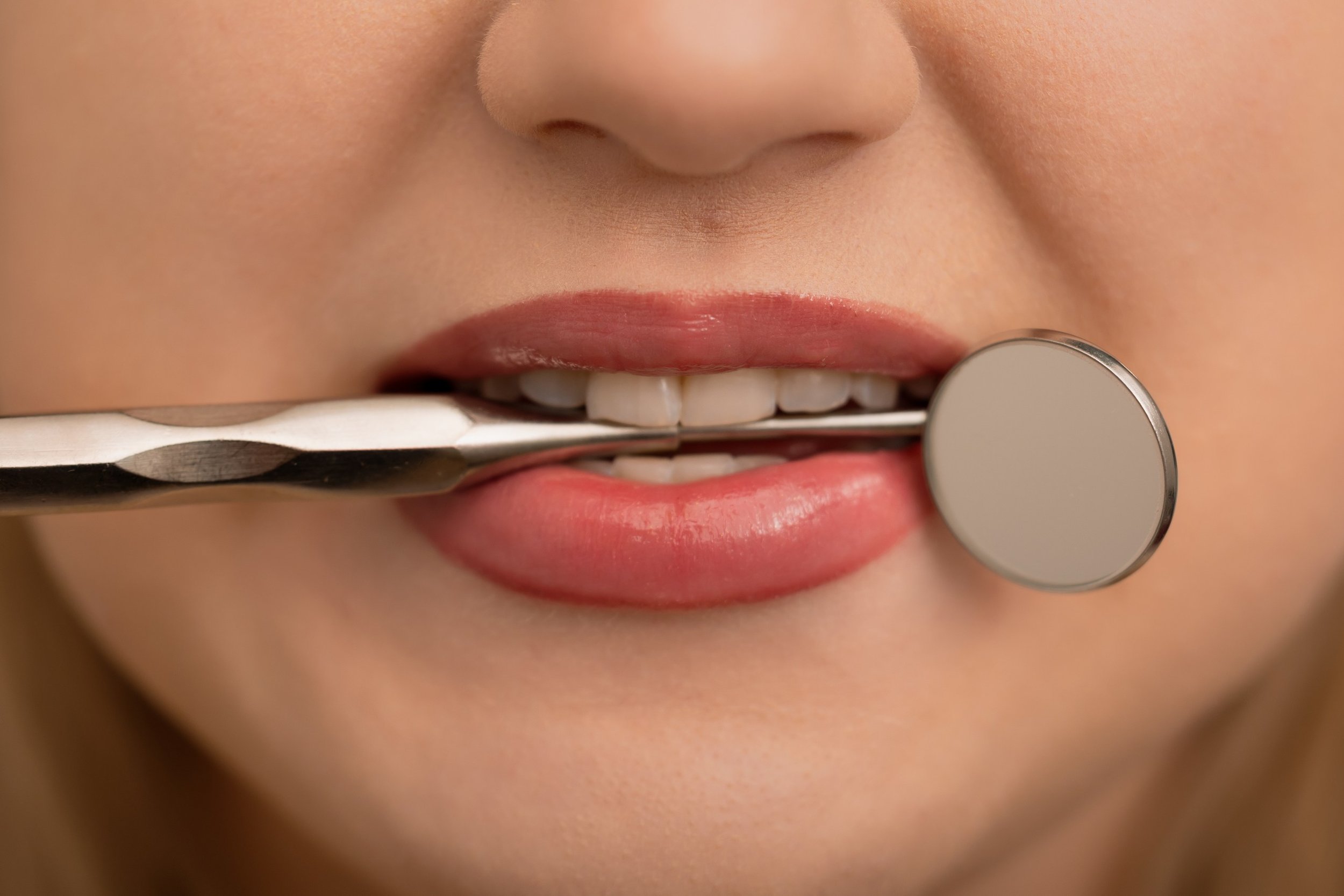 Ekaterina Völker | ZMF