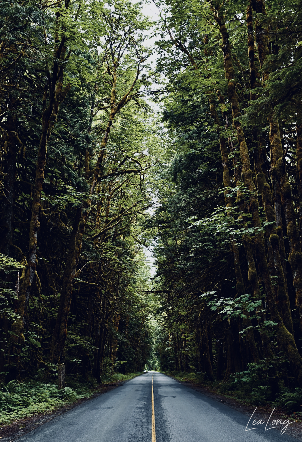 insta_road.png