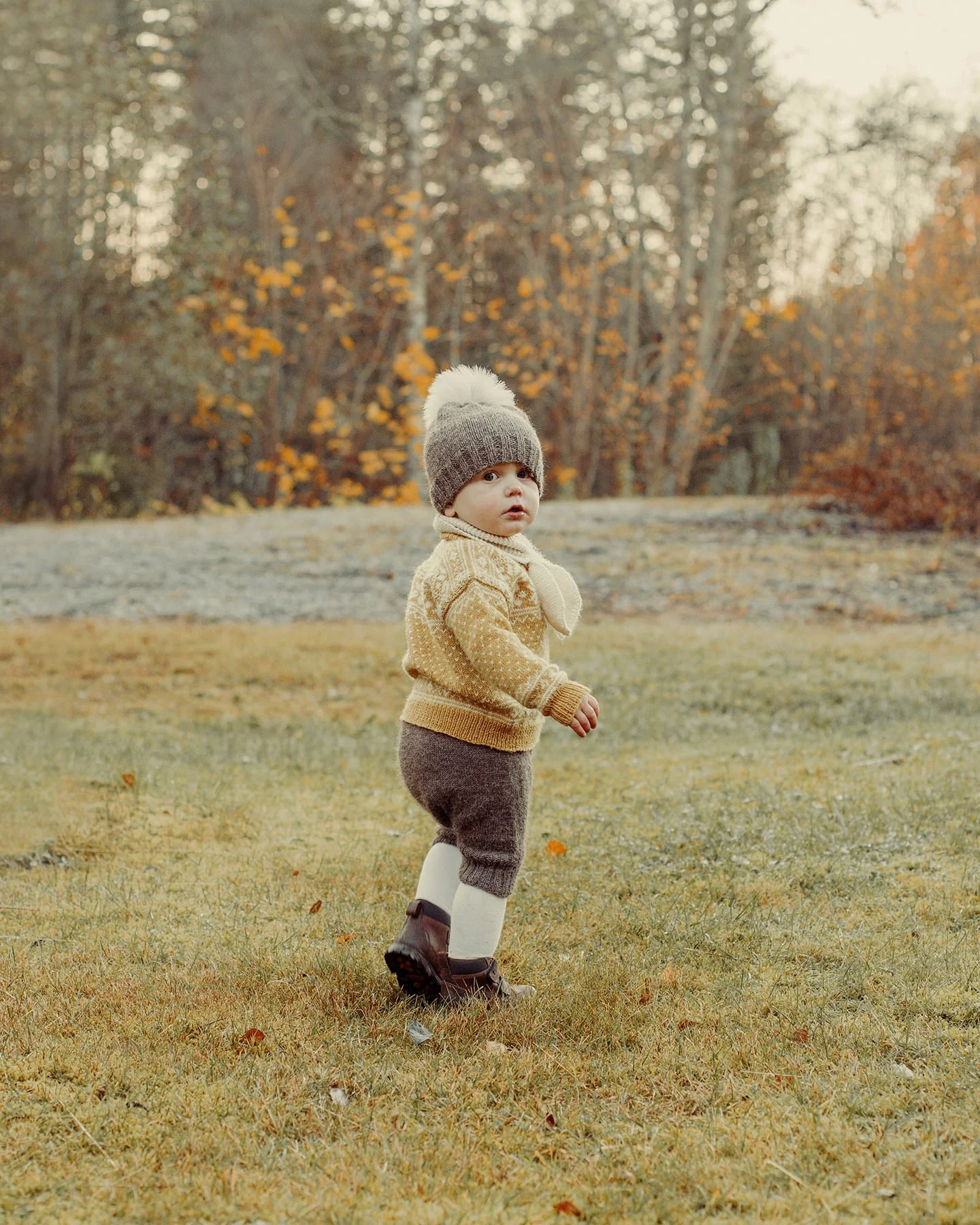 Barnefotografering om høsten. Lite barn ser seg tilbake mens det går bort fra kamera.