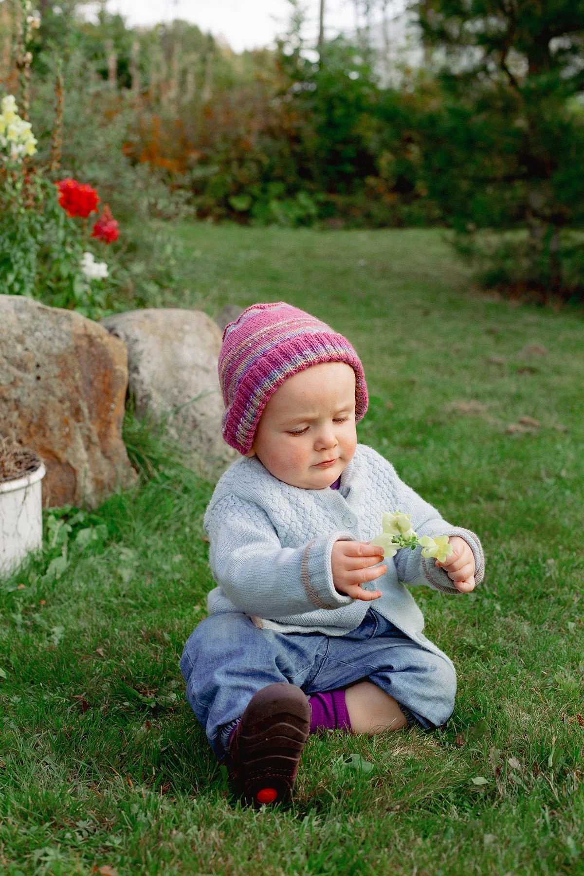 Barnefotografering om sommeren. 1-åring sitter på gresset og studerer en blomst.