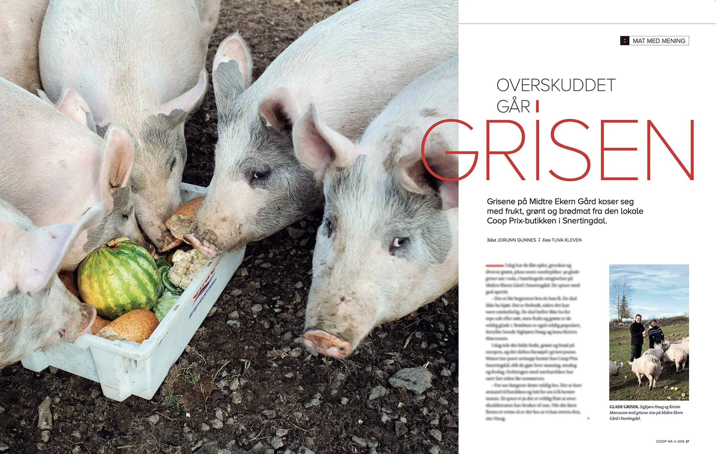 Screenshot 2025-11-13 at 10.32.11 copy 2.jpg