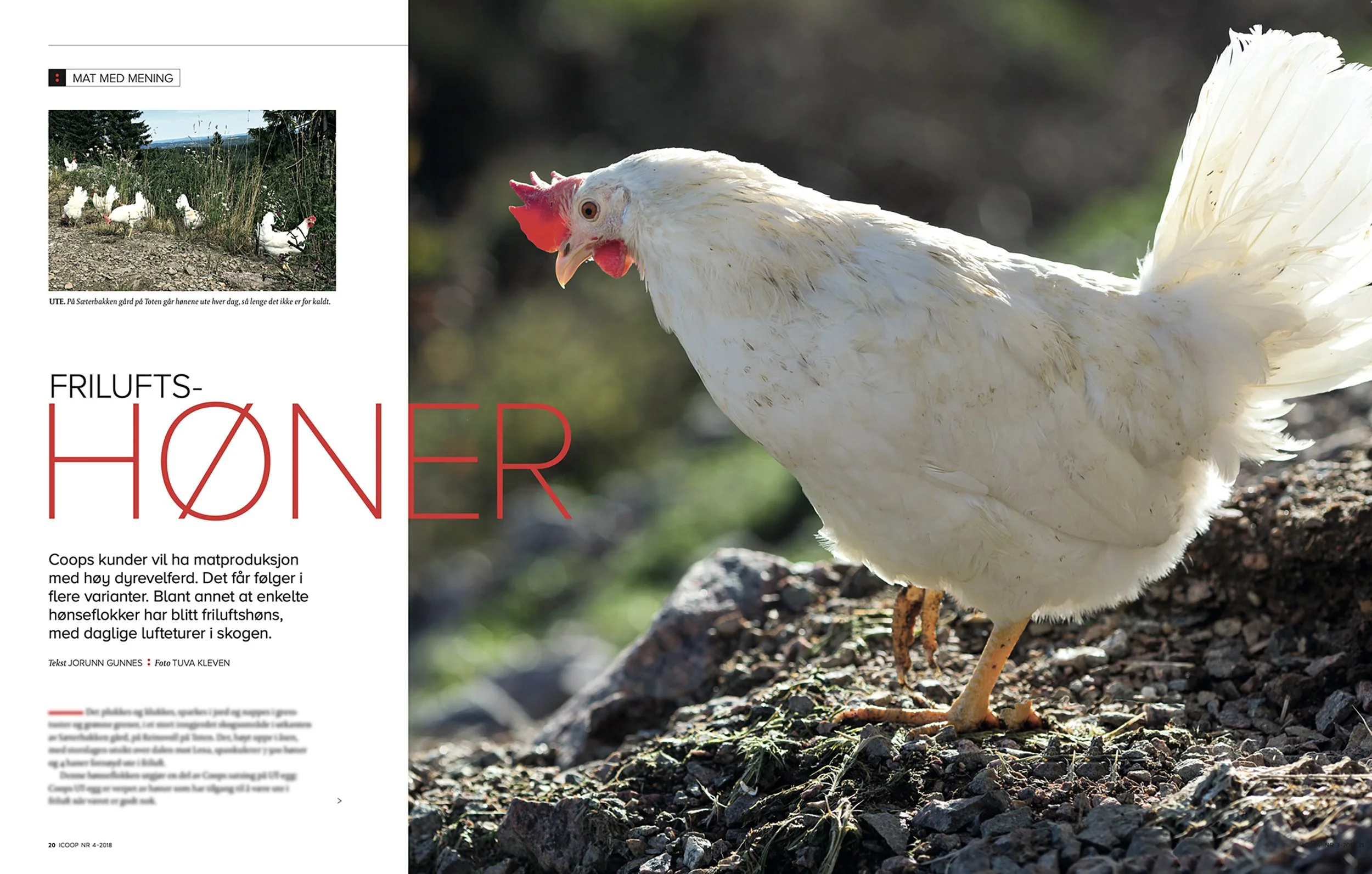 Screenshot 2025-11-13 at 09.59 copy 2.jpg