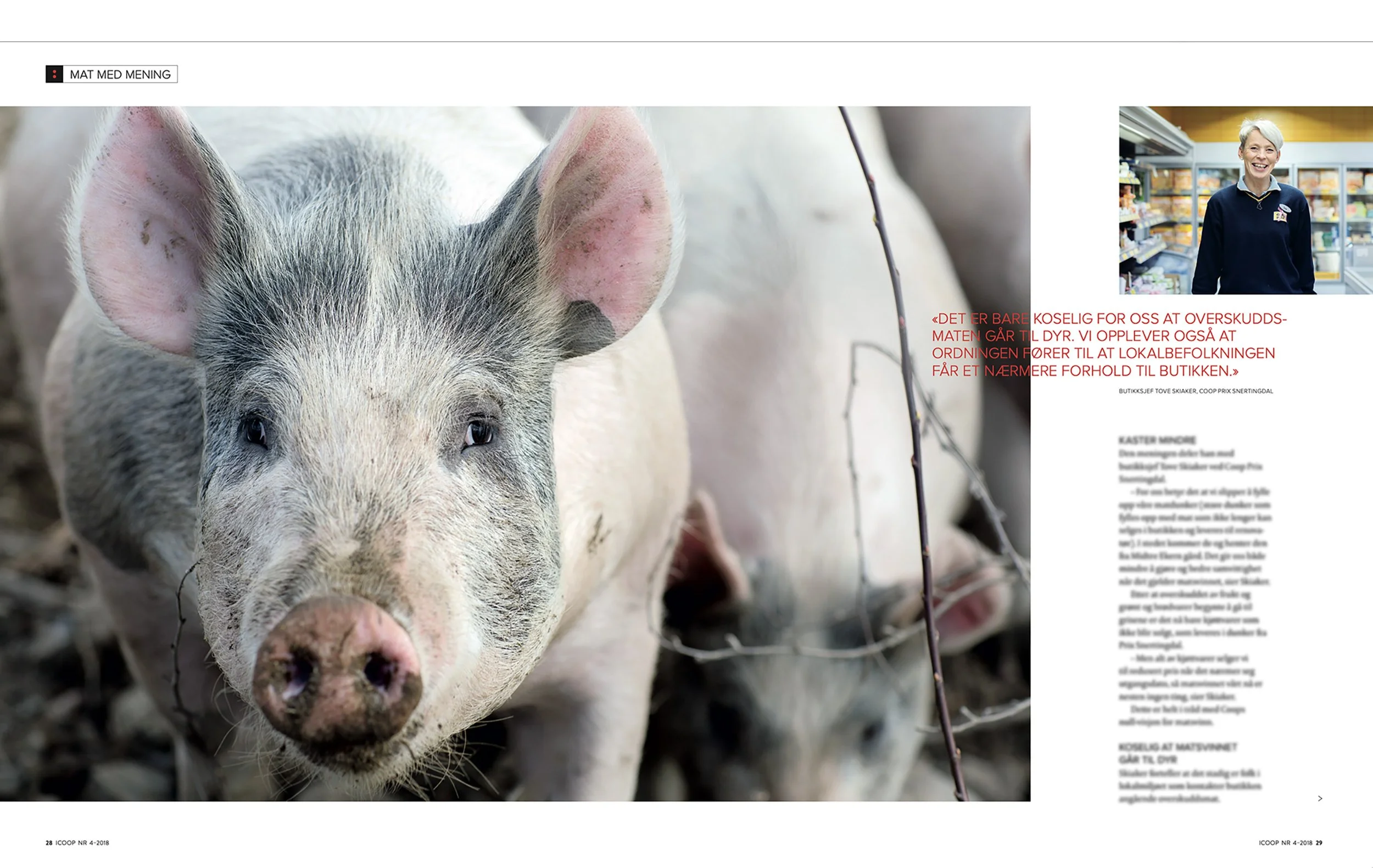 Screenshot 2025-11-13 at 10.34.31 copy 2.jpg