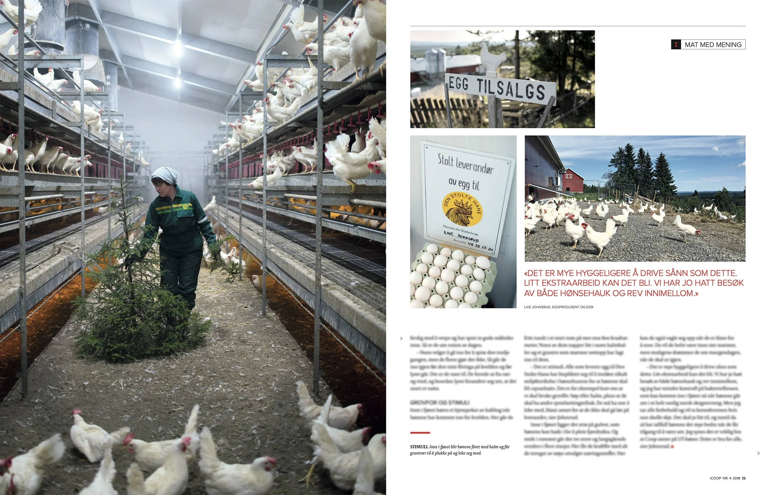 Screenshot 2025-11-13 at 10.15.31 copy 2.jpg