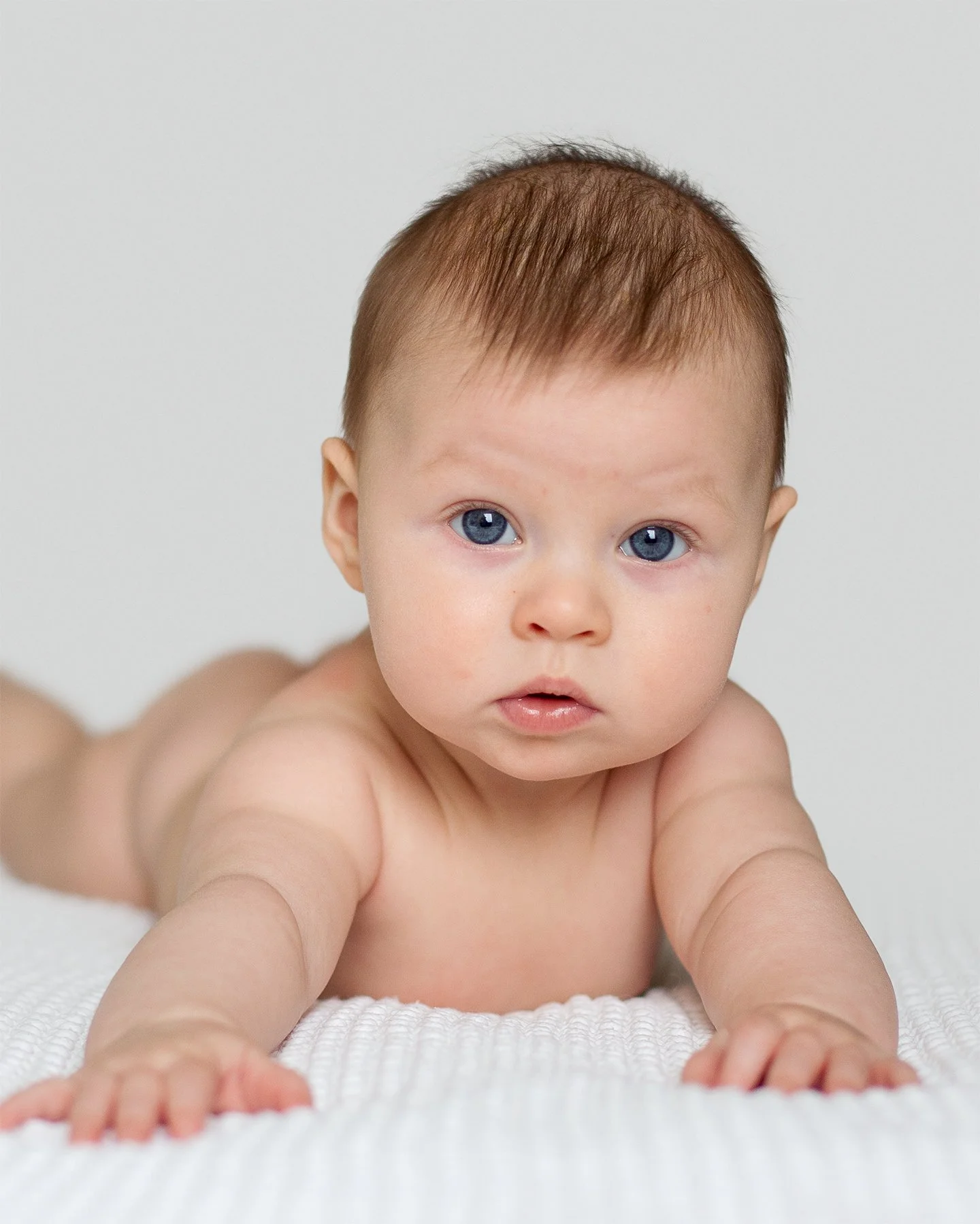 Babyfotografering i klassisk stil på hvit bakgrunn. Baby ligger på magen og ser i kamera.