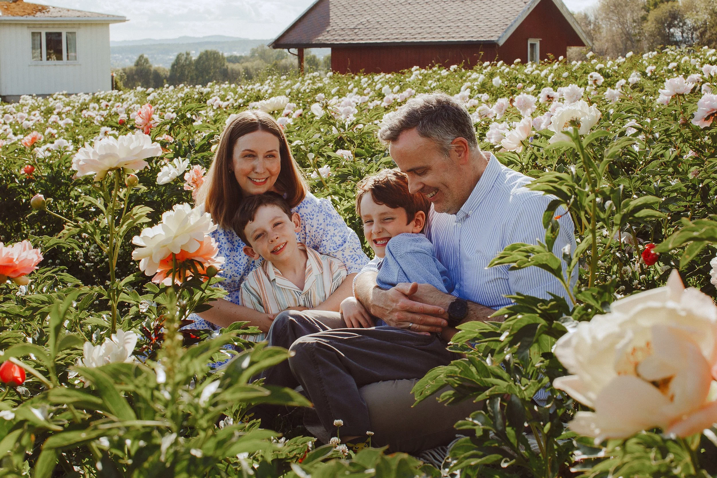 Familiefotografering utendørs i naturlig lys. Familie på fire sitter blant peoner på sommeren
