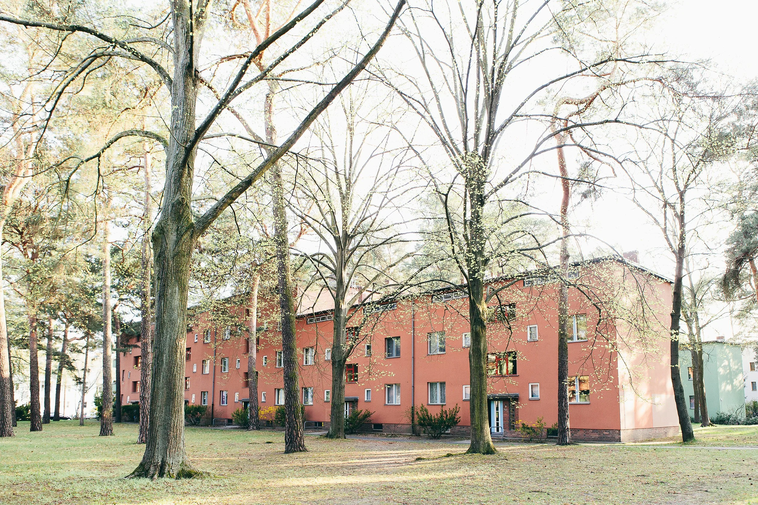 Boligfelt i Onkel Toms Hütte i Berlin, tegnet av arkitekt Bruno Taut. Rosa boligblokk med store, luftige løvtrær rundt.