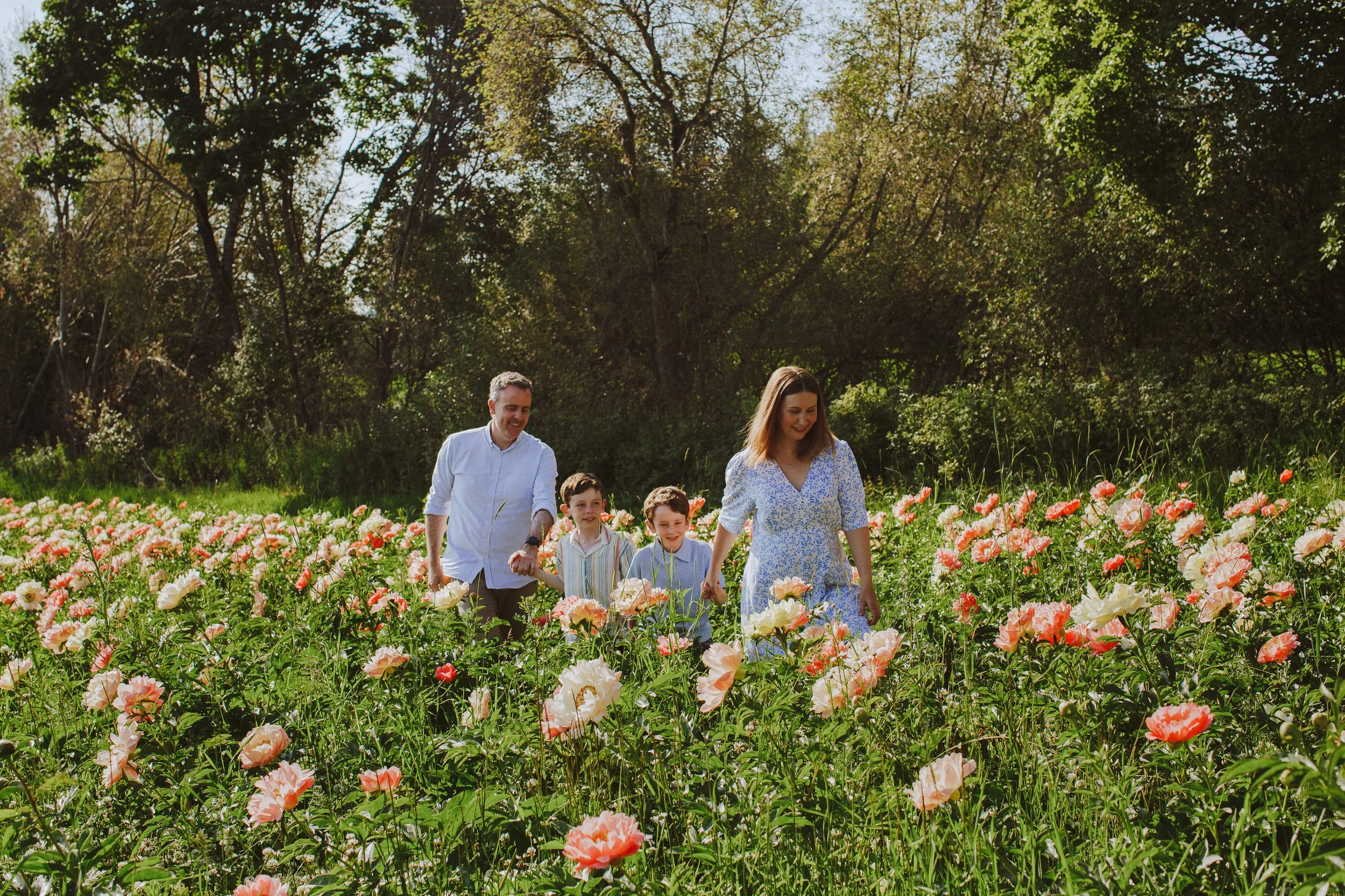 Familiefotografering i blomstereng i Hamar.