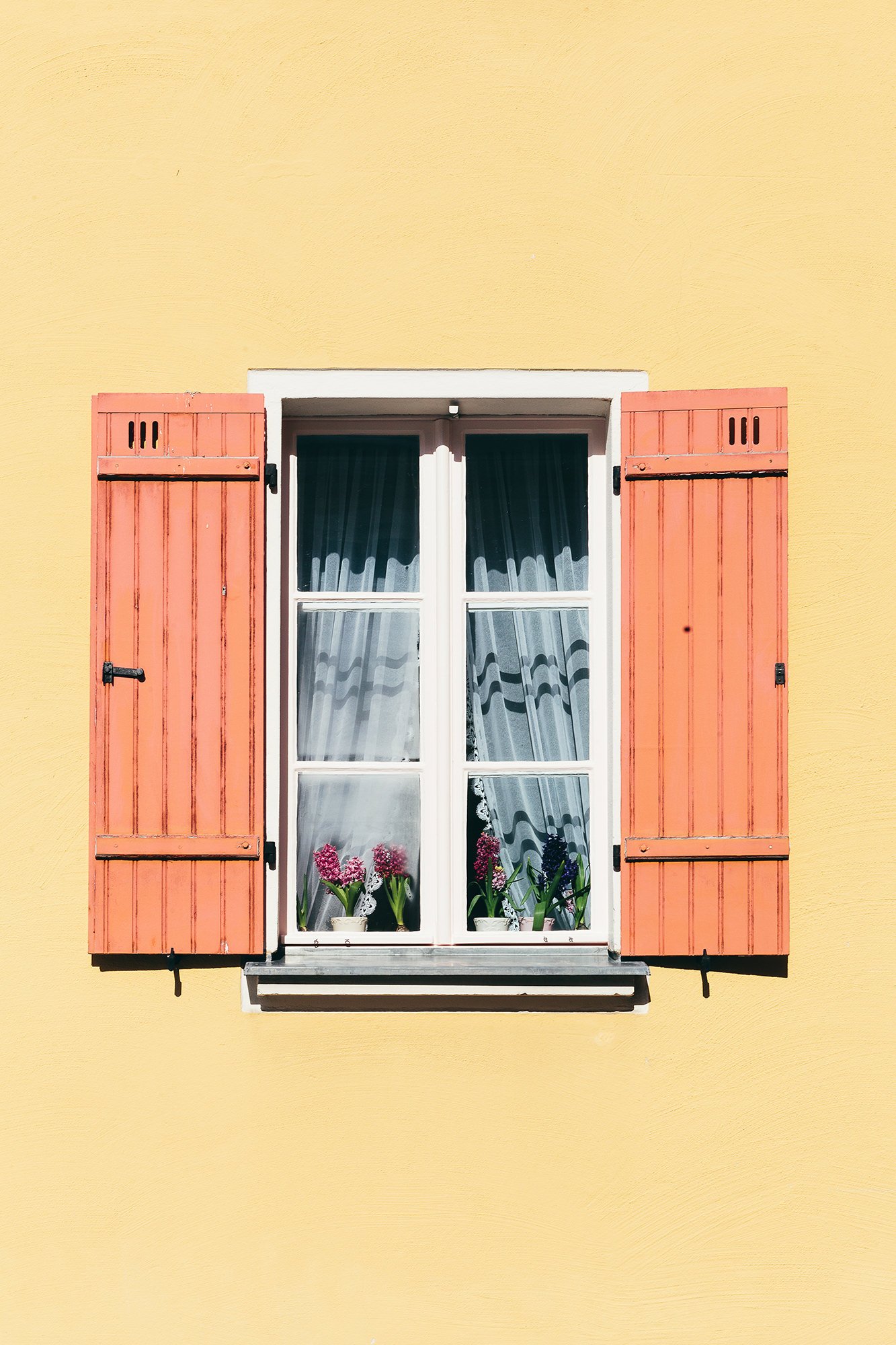 Vindu med rosa lemmer på en gul murvegg.