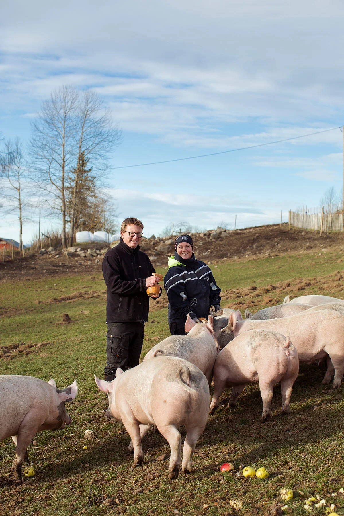 Redaksjonell foto av to bønder som mater en gjeng med frittgående griser.