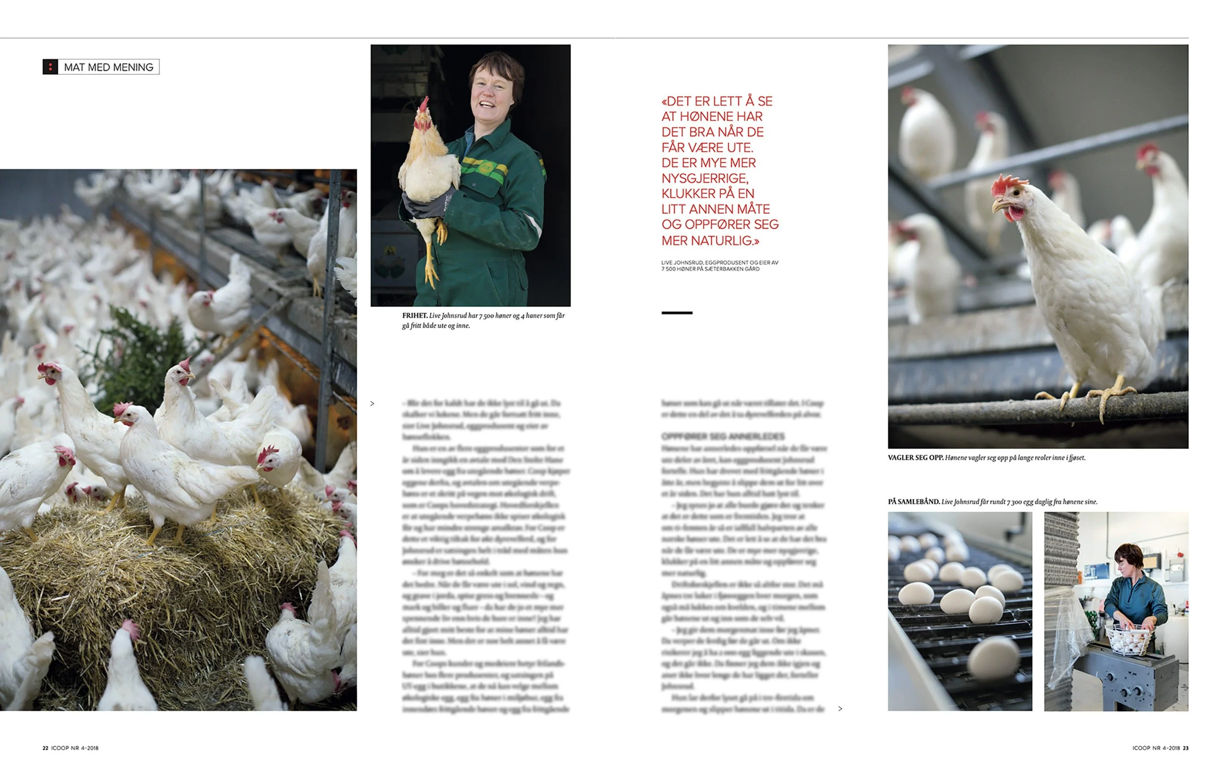 Screenshot 2025-11-13 at 10.08.26 copy 2.jpg