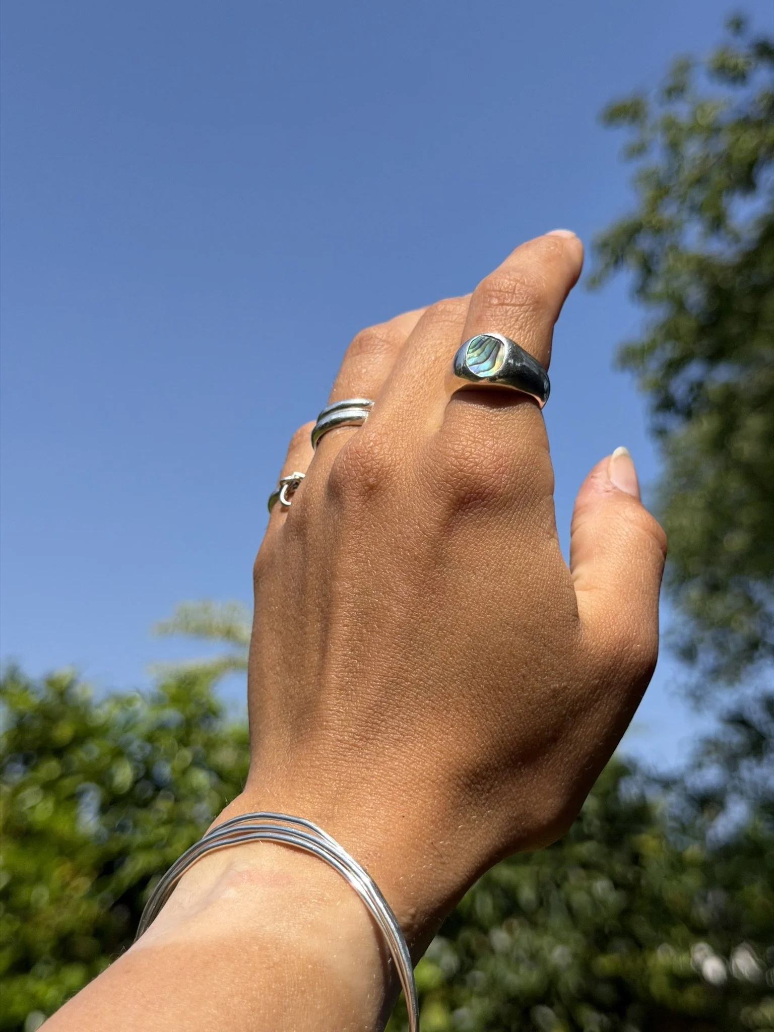Abalone Signet