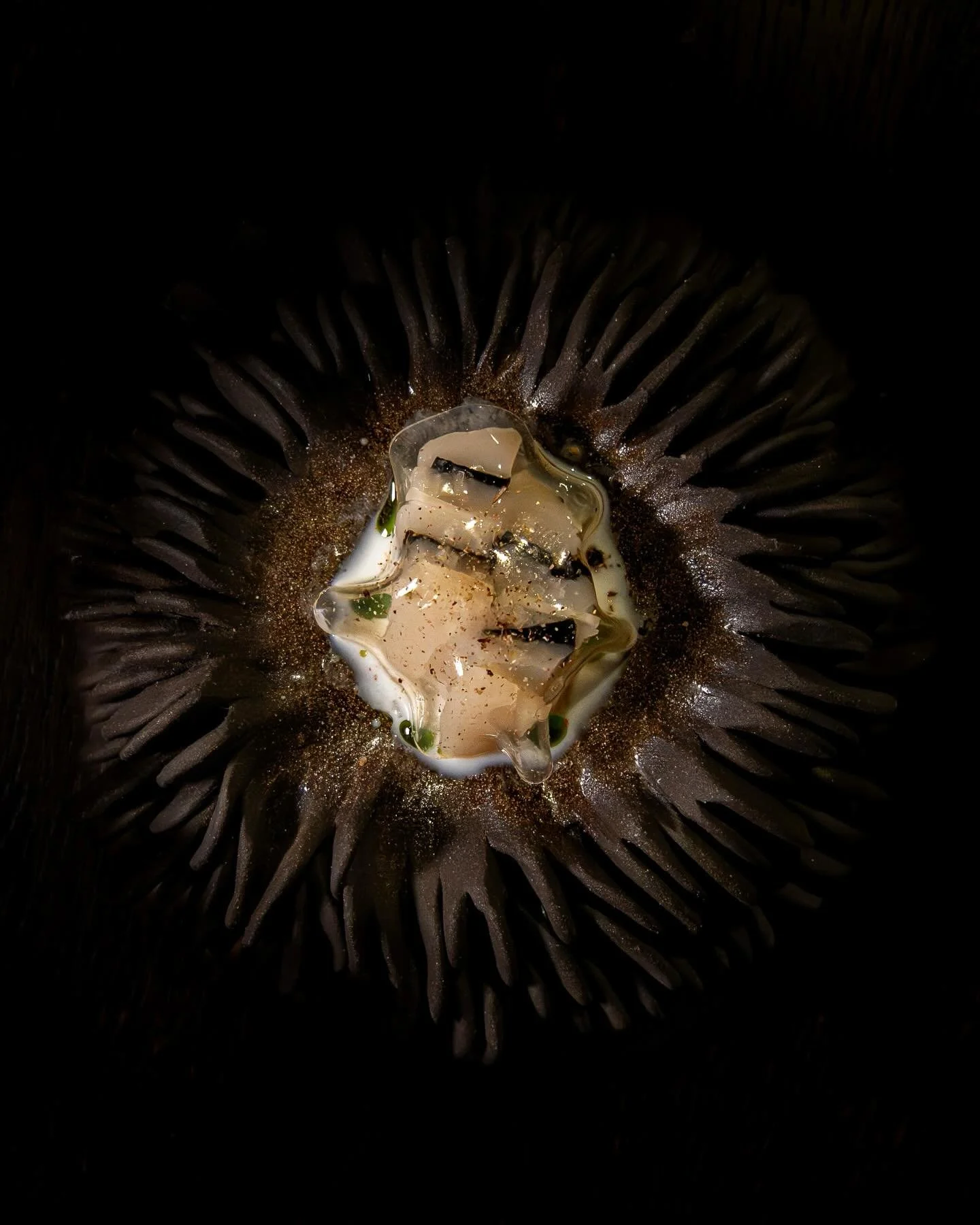 Bespoke ceramics by @amandehaeghen 

Each plate shaped to hold a story, each curve designed for the dish it carries. 

The story is on the plate. Will you taste it?

📷  @byanaisfremont 

#michelinrestaurant #moderncuisine #gastronomyparis #culinarya