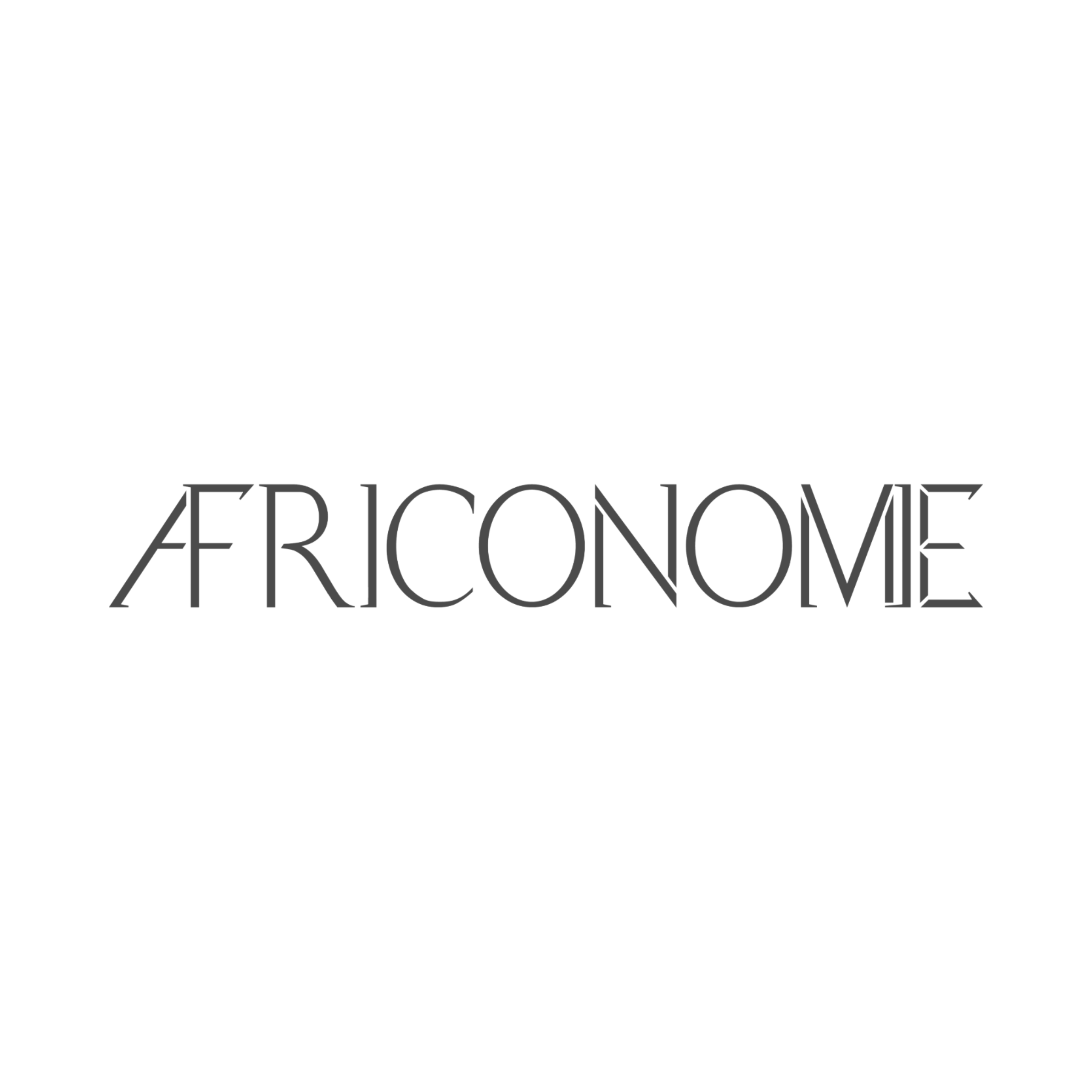 Africonomie Logo