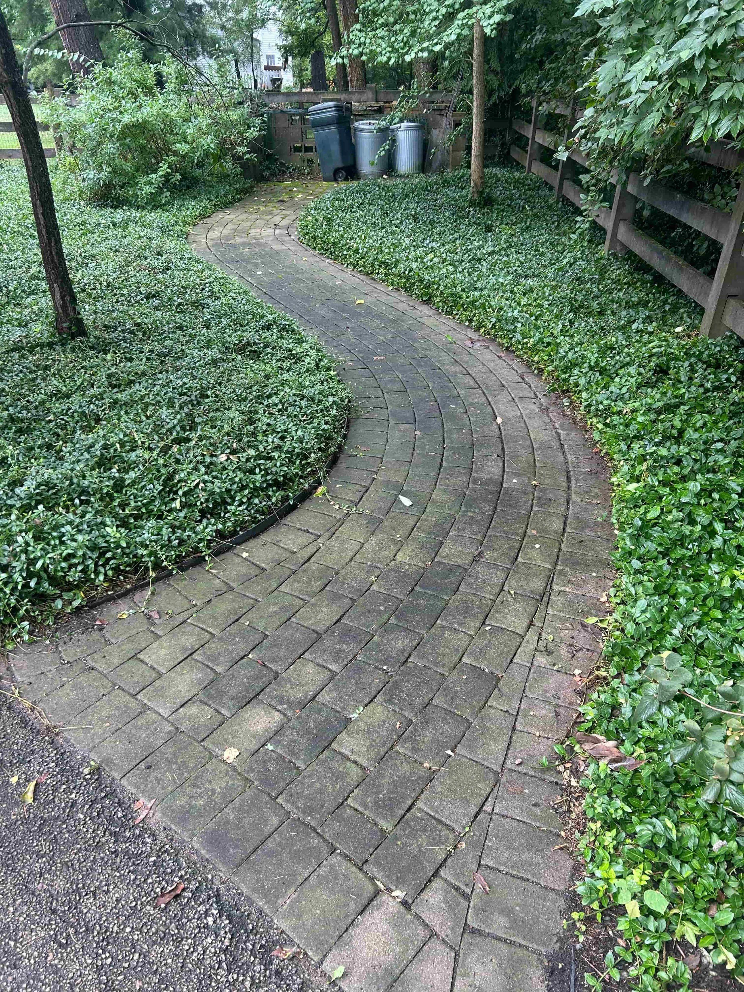 A curved brick pathway through a lush, green outdoor garden, with bushes on both sides, a wooden fence, and garbage cans at the end.