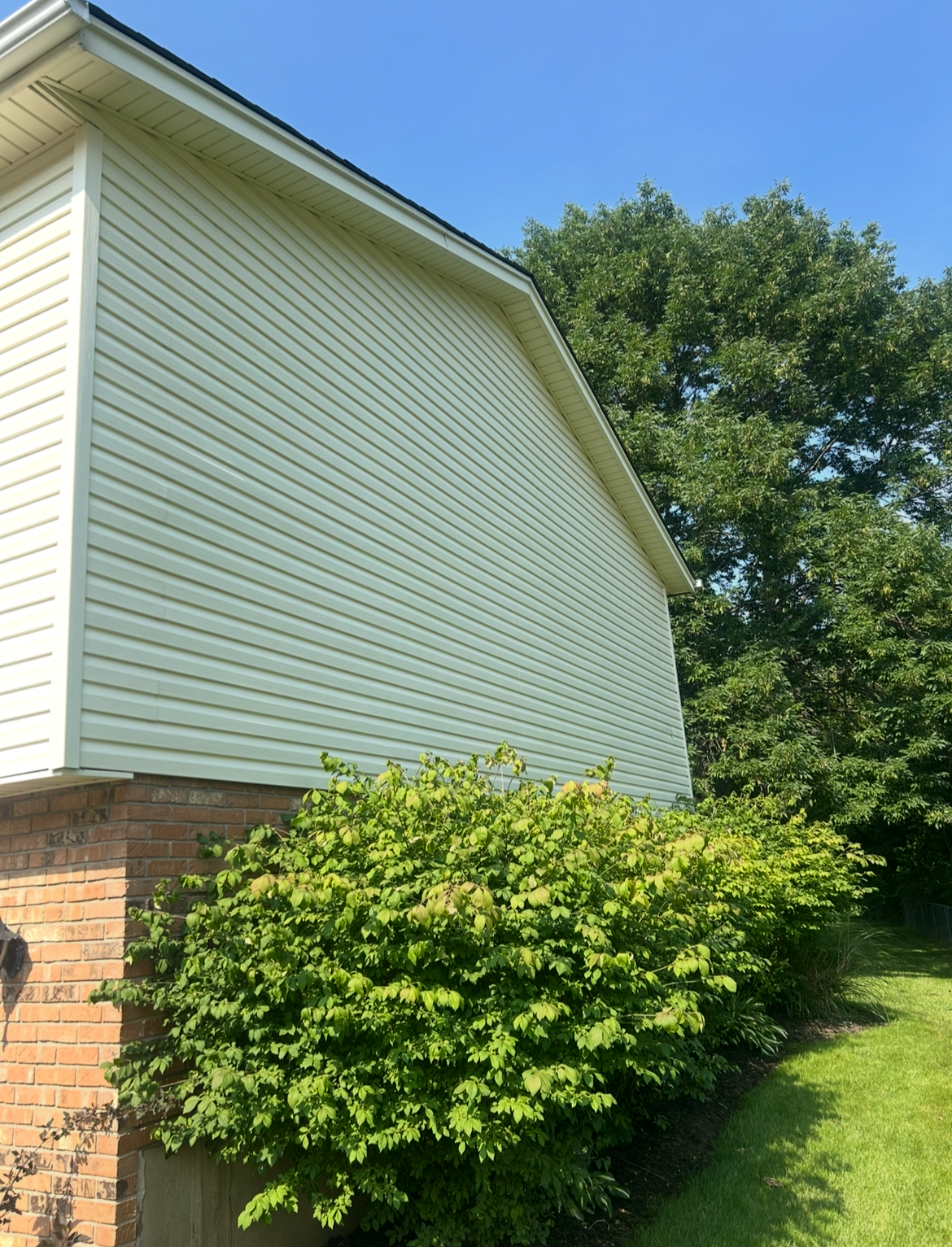 Exterior side view of a house with white vinyl siding, brick foundation, and lush green bushes at the base. A large tree with green foliage is visible in the background, along with a clear blue sky.