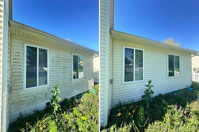 Side-by-side comparison of a house's exterior before and after cleaning; left side shows weathered, dirty siding, right side shows clean, freshly painted siding with healthy plants in the garden.