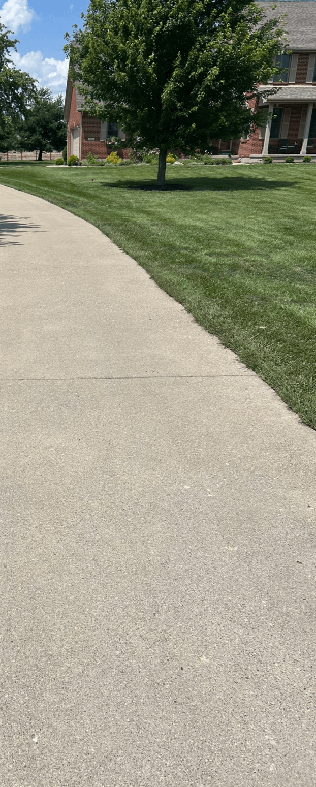 A sidewalk runs through a well-maintained lawn with a large green tree and a brick house in the background.