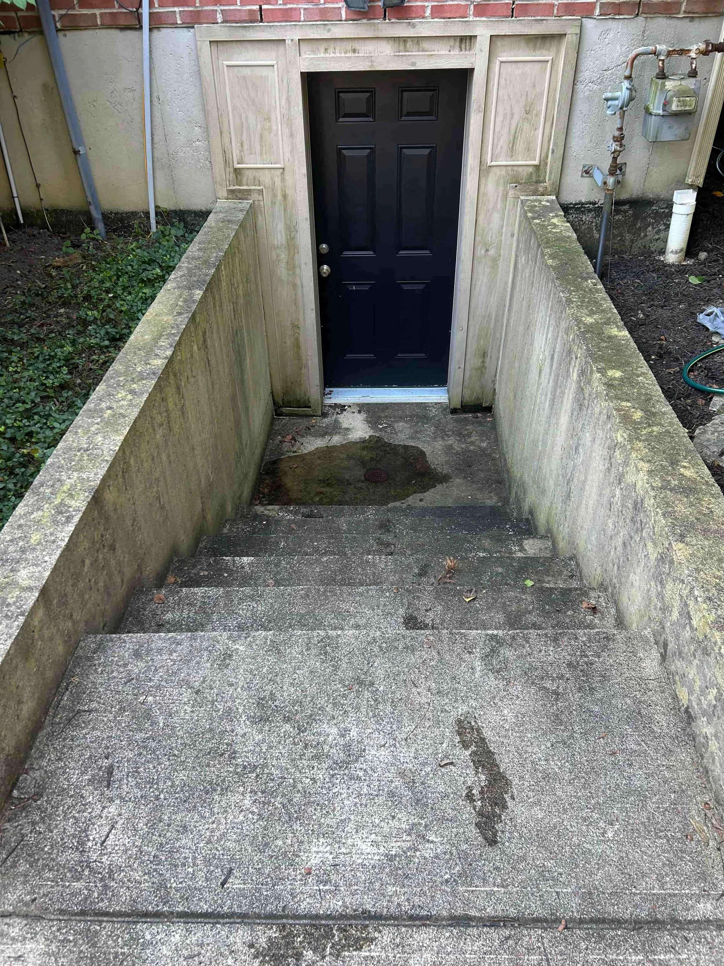 Concrete stairs leading down to a black door, with moss and dirt on the steps, and a small puddle of water in front of the door.