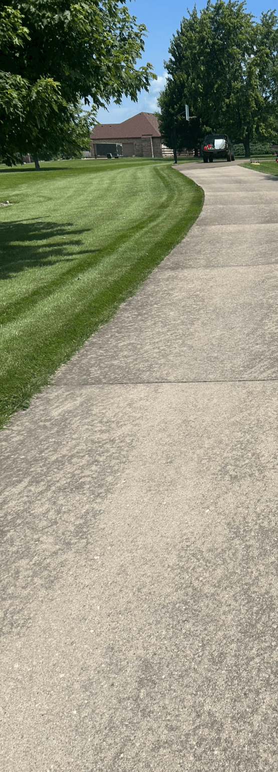 A concrete driveway curves through a well-manicured lawn with trees and houses in the background on a sunny day.