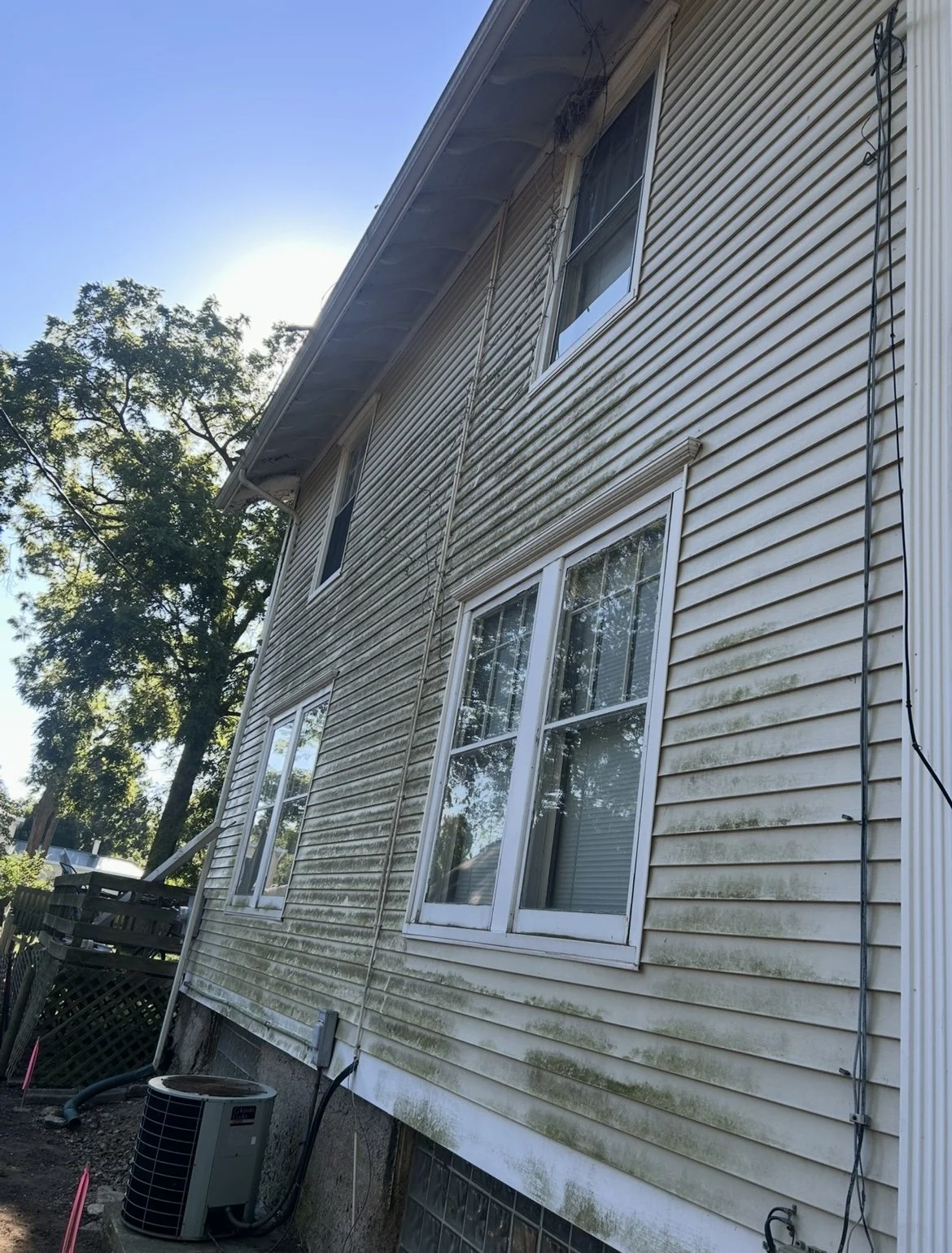 The side of a house with beige vinyl siding showing signs of mold or mildew, with several windows, some reflecting trees and sky, and an air conditioning unit outside. Sunlight is visible behind a tree on the left.