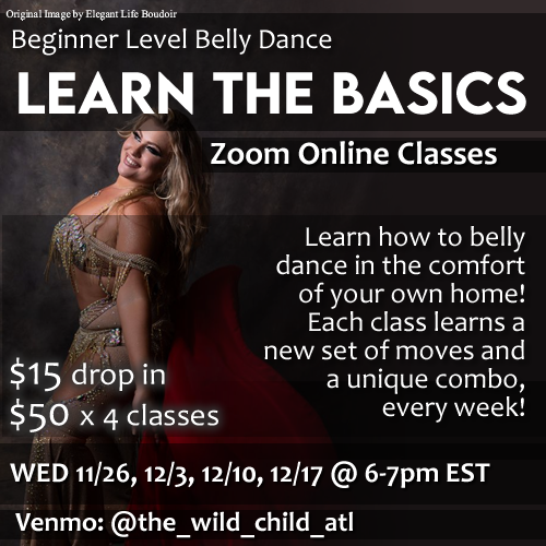 Learn the Basics ONLINE ZOOM