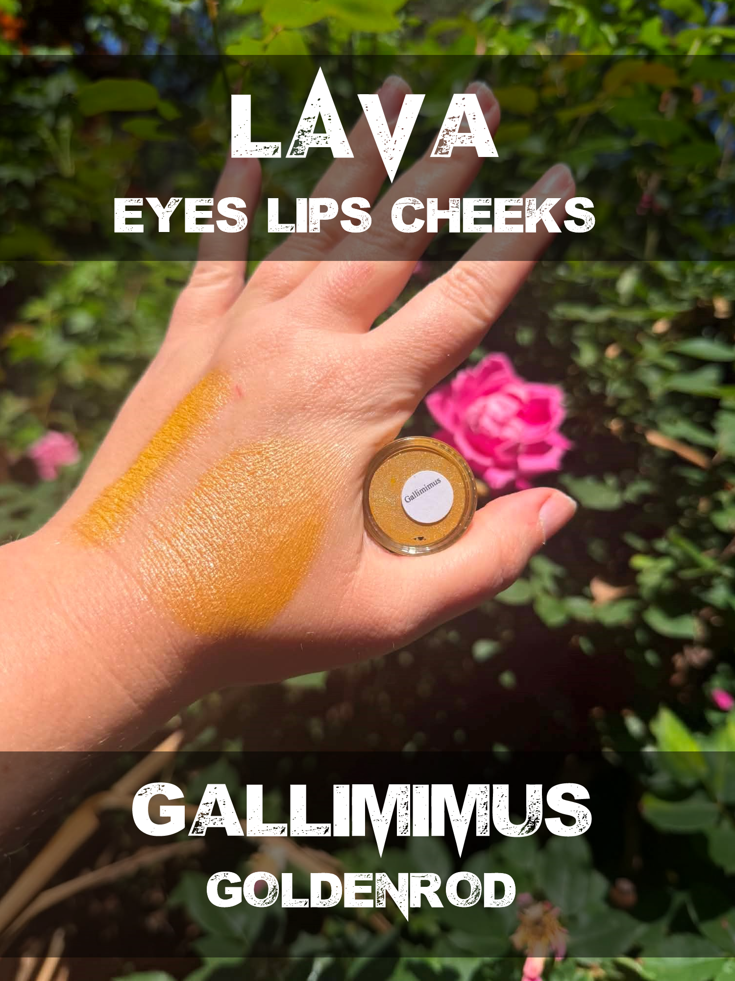 gallimimus lava.png