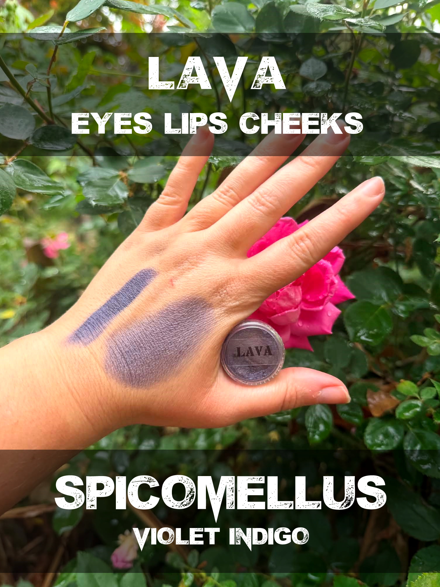 spicomellus lava.png