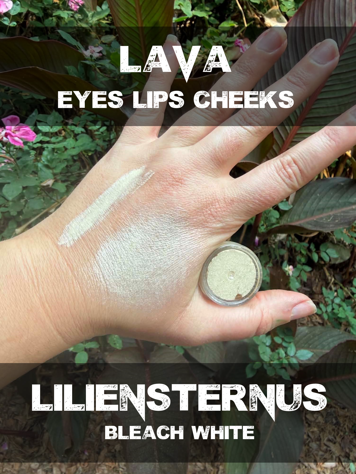 liliensternus lava.png