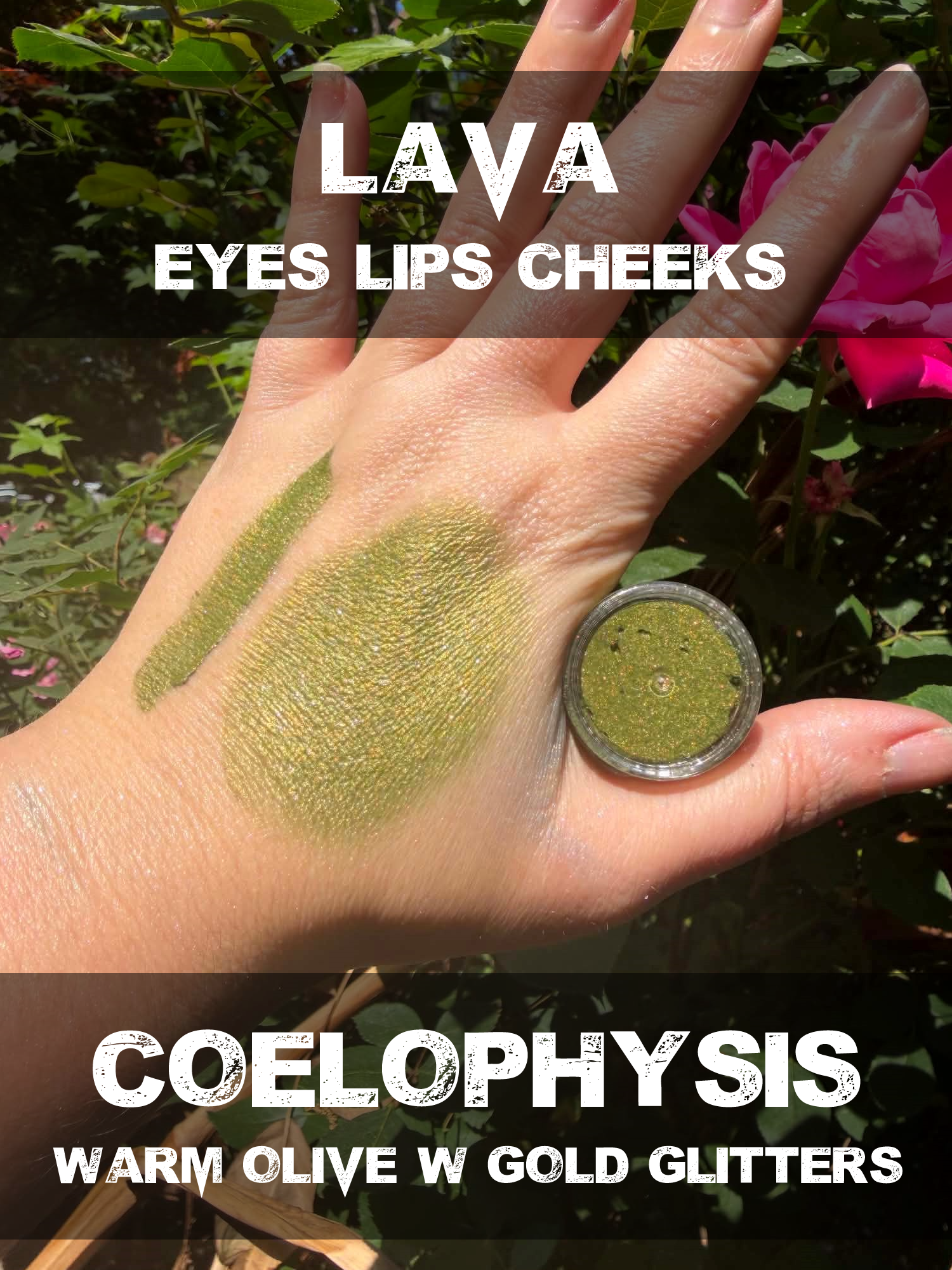 coelophysis lava.png