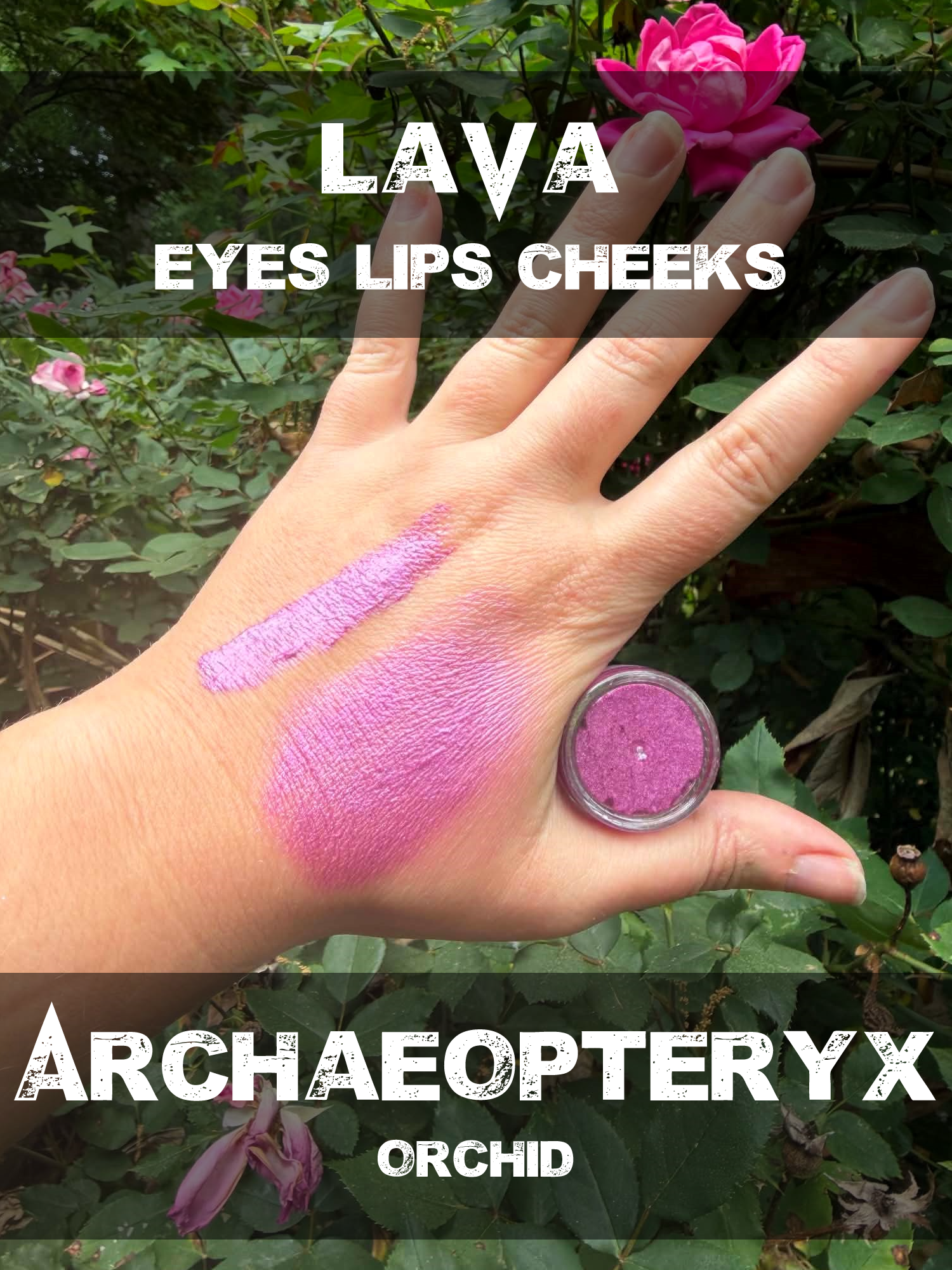 archaeopteryx lava.png