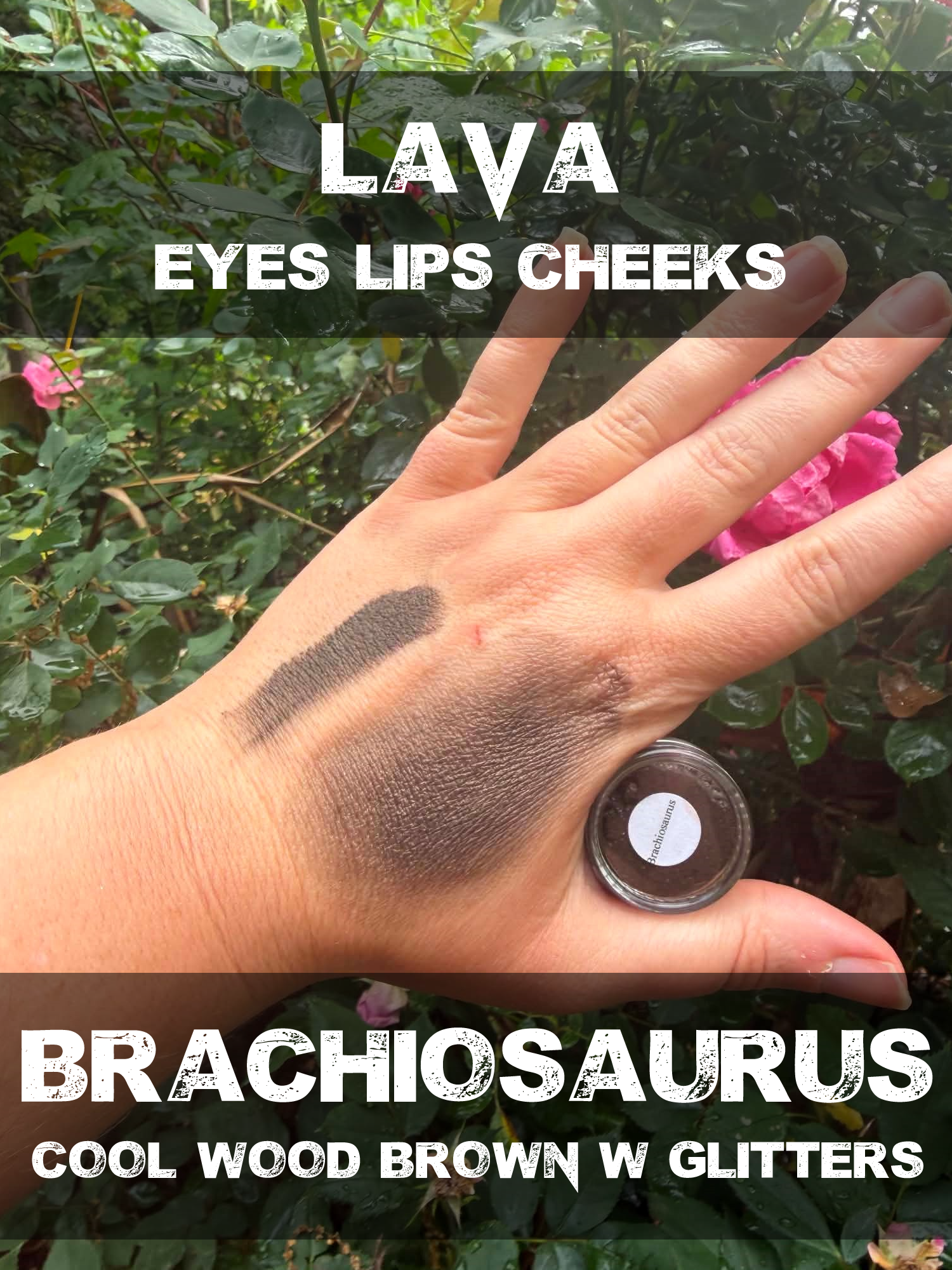 brachiosaurus.png