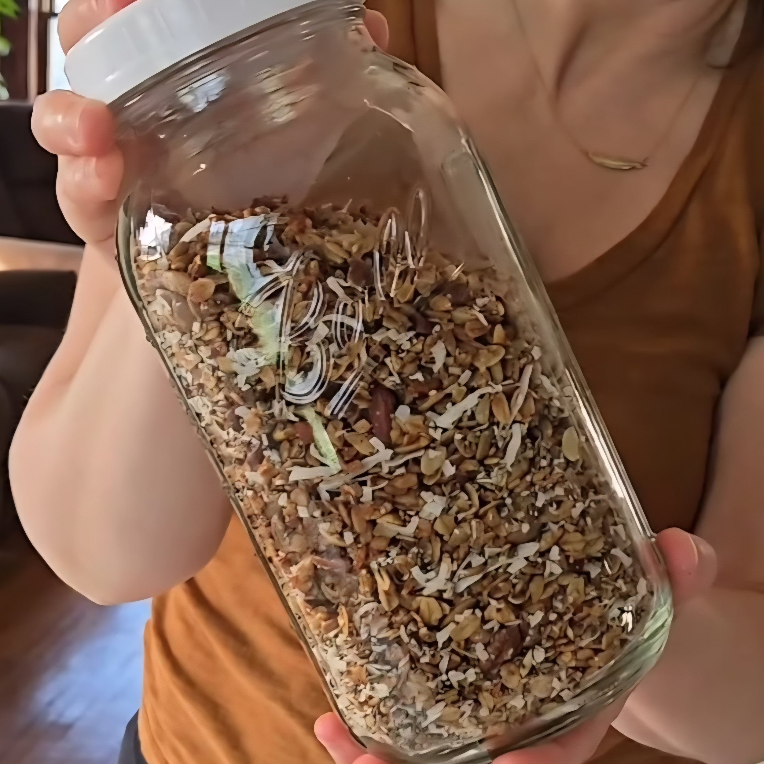 Vanilla Maple Cinnamon Granola