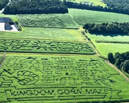 corn_maze_arial.webp