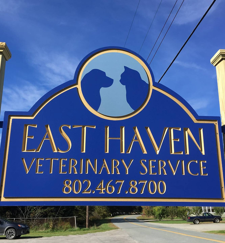VETERINARY SERVICE