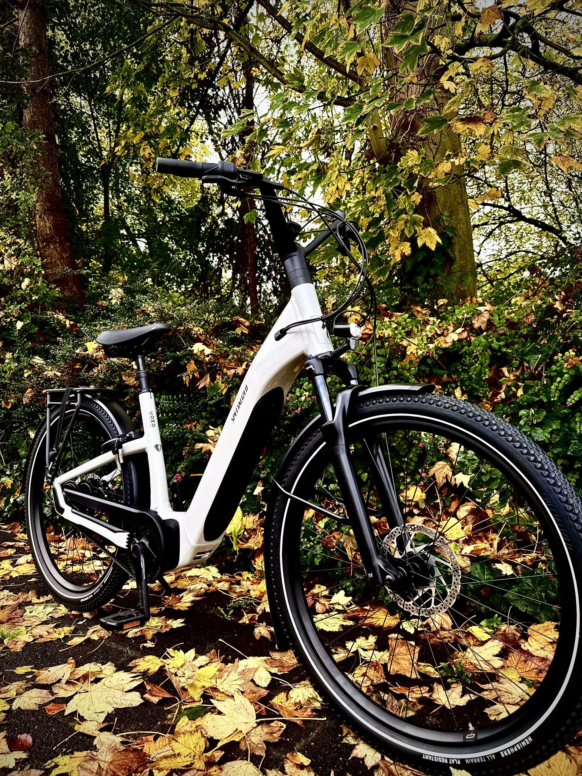 Een elektrische Specialized COMO op een bosgrond bedekt met herfstbladeren, omringd door groene en gele bladeren.
