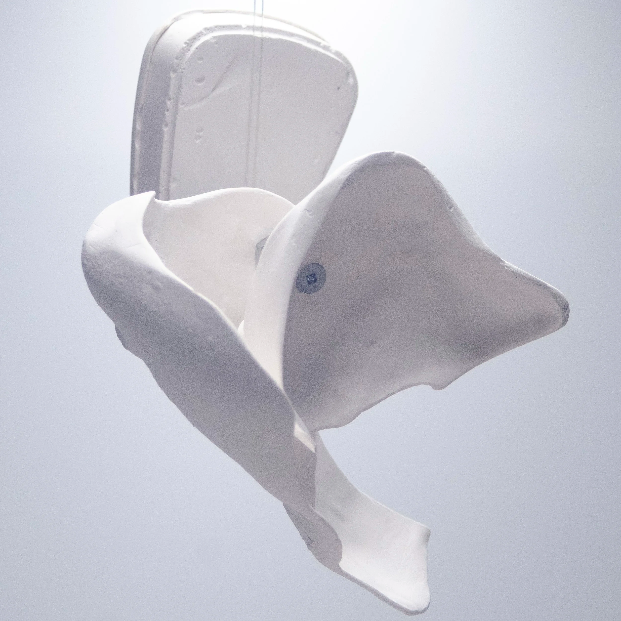 DSC_0076.png