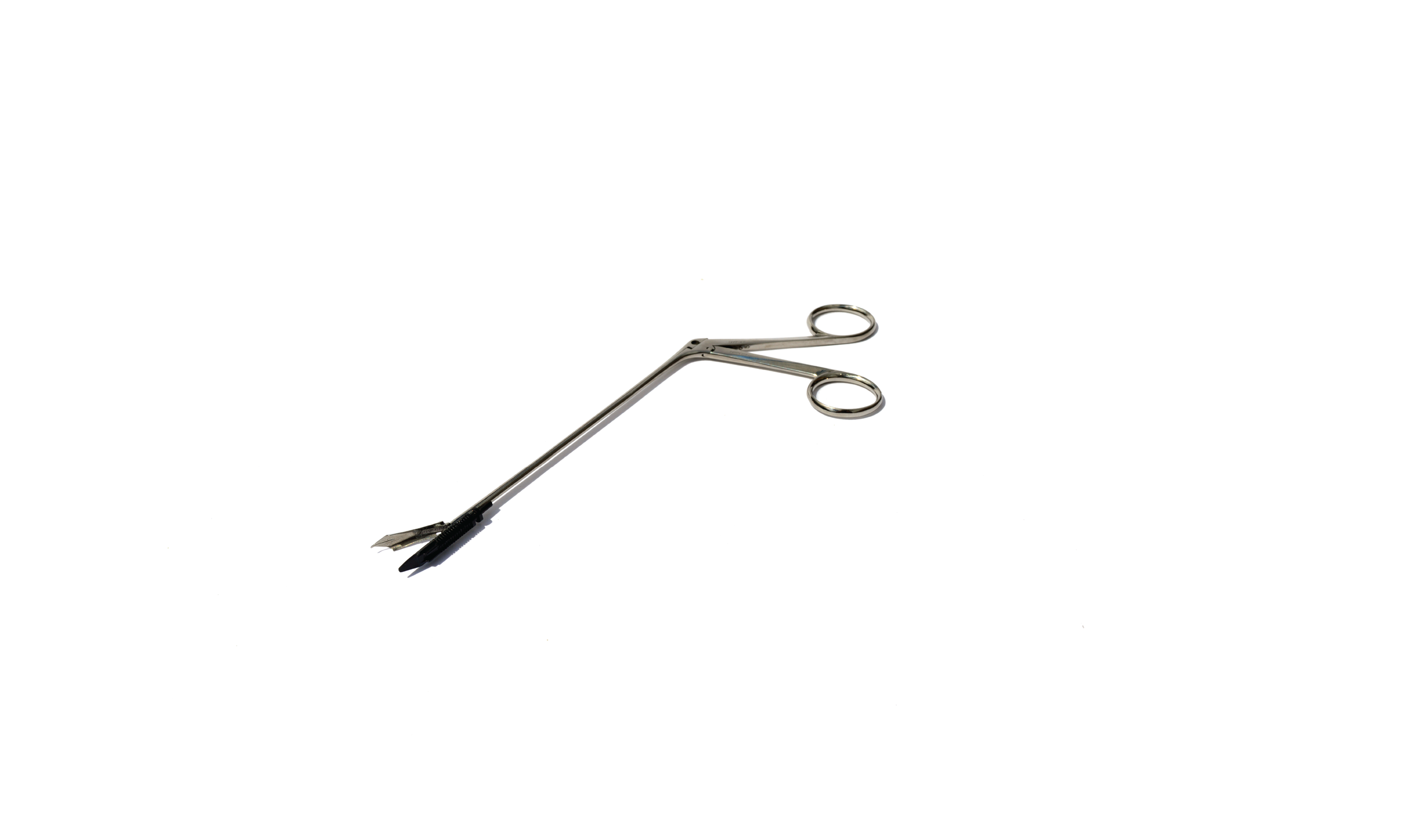 Alligator Forceps_Photo.png
