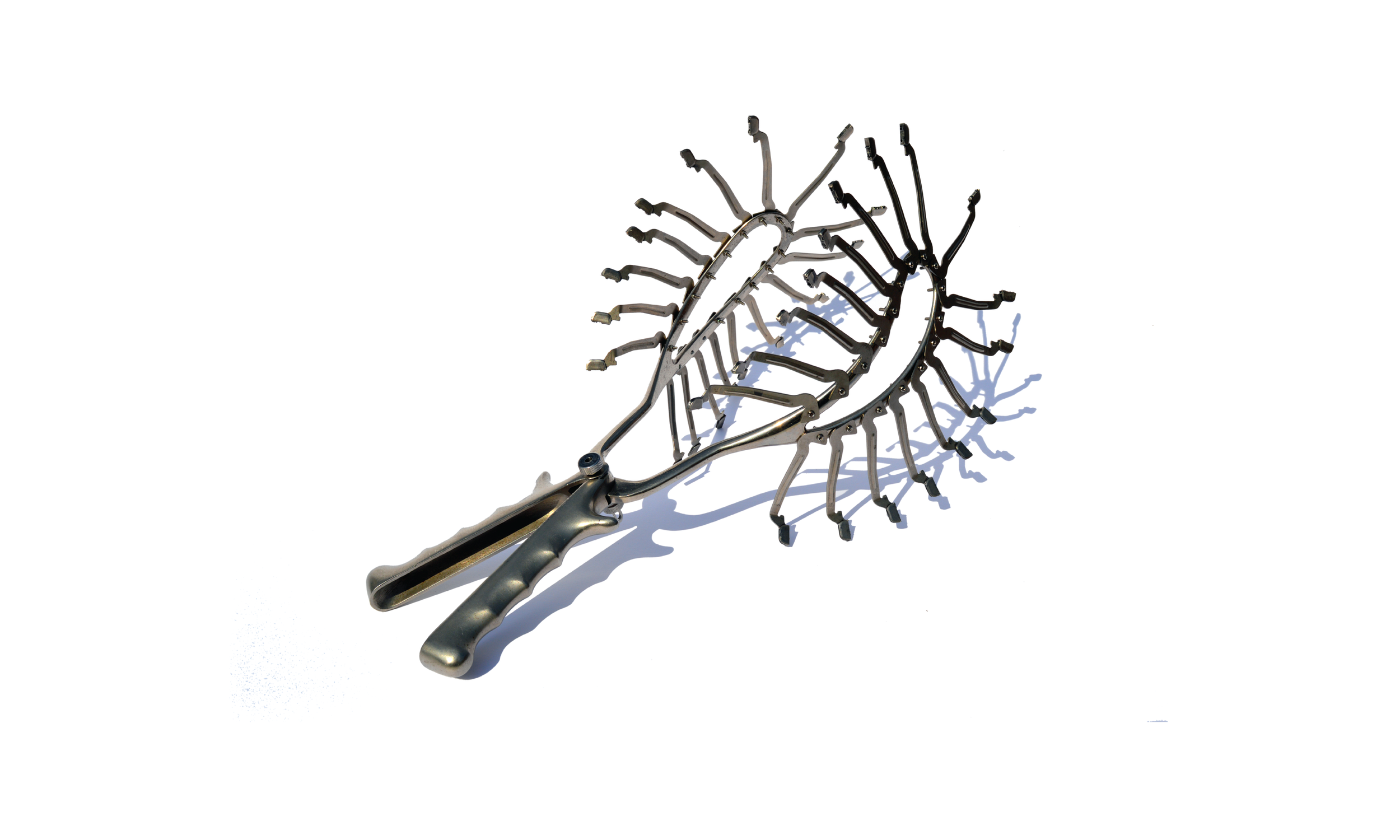 Forceps_Photo.png
