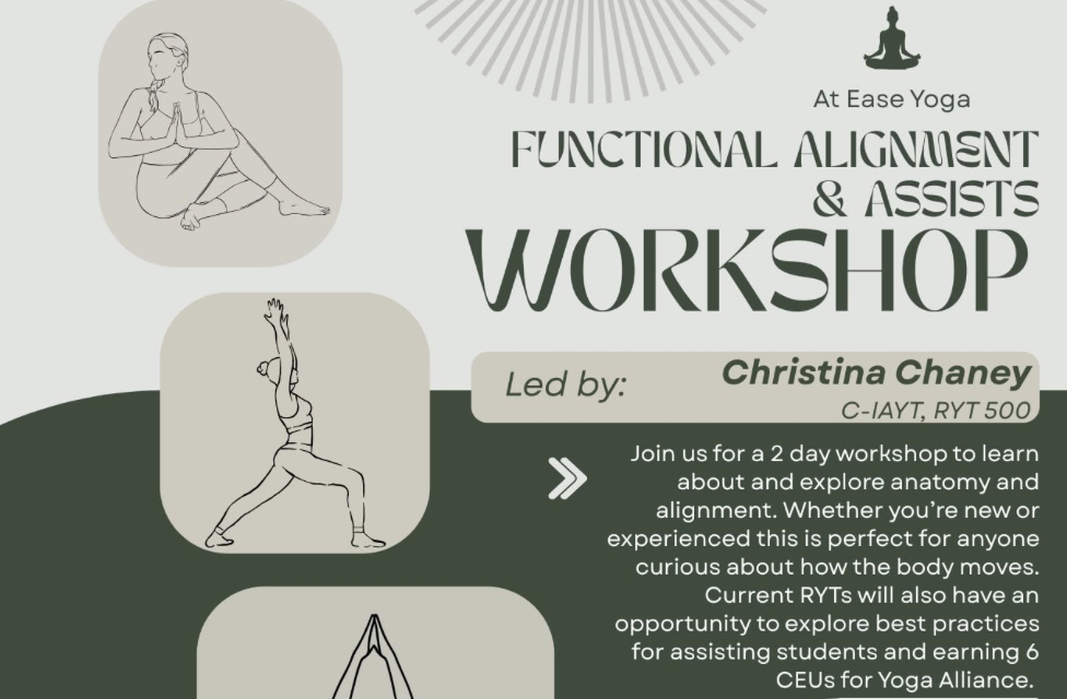 Functional Alignment & Assists