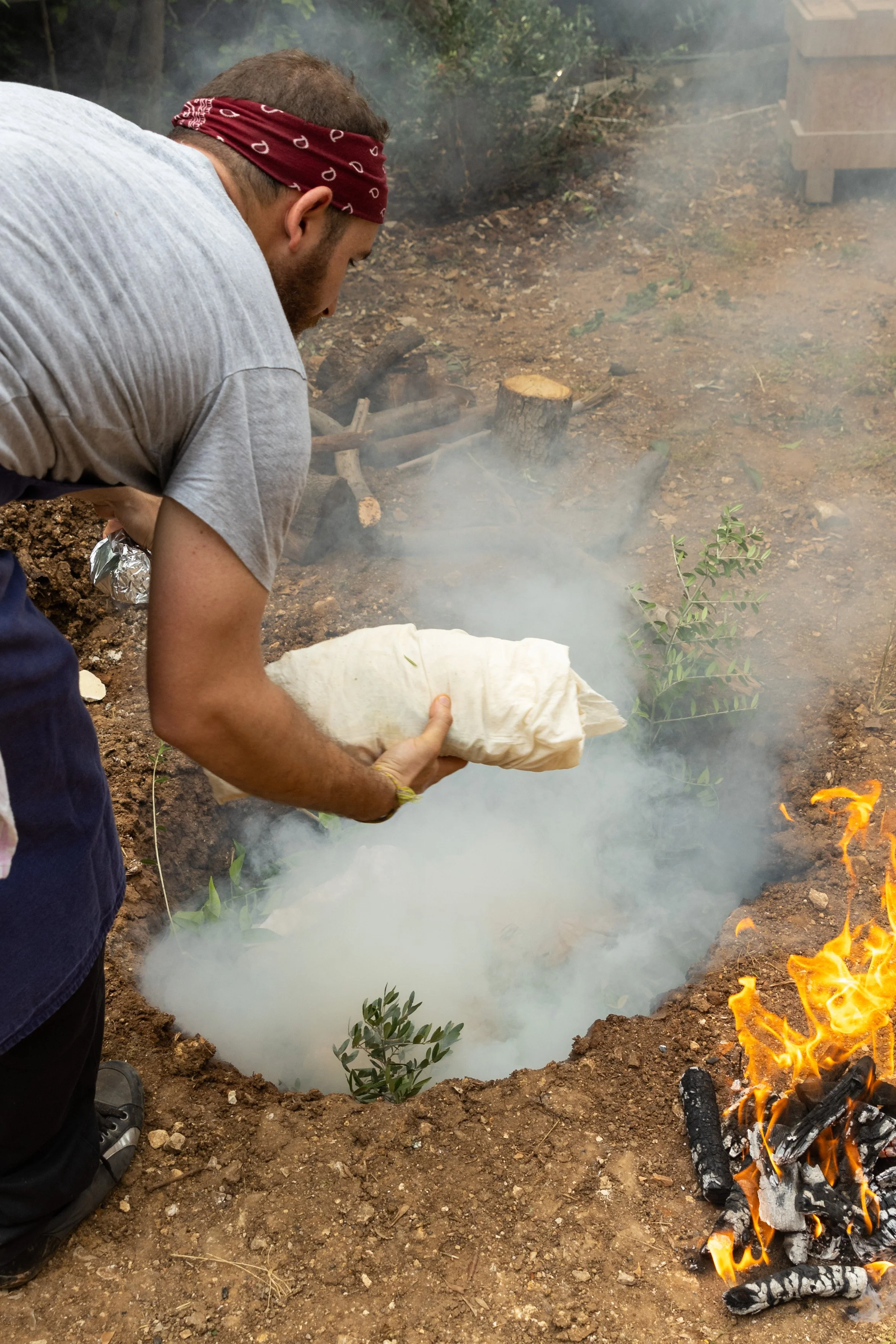 meat-the-fire-ash-earth-cooking.jpg