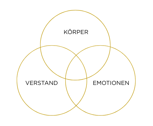 Drei überlappende goldene Kreise auf schwarzem Hintergrund, die einen Venn-Diagramm bilden.