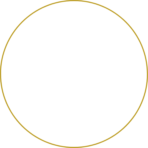 Ein schwarzer Kreis mit einem dünnen goldenen Rand, keine weiteren Details sichtbar.