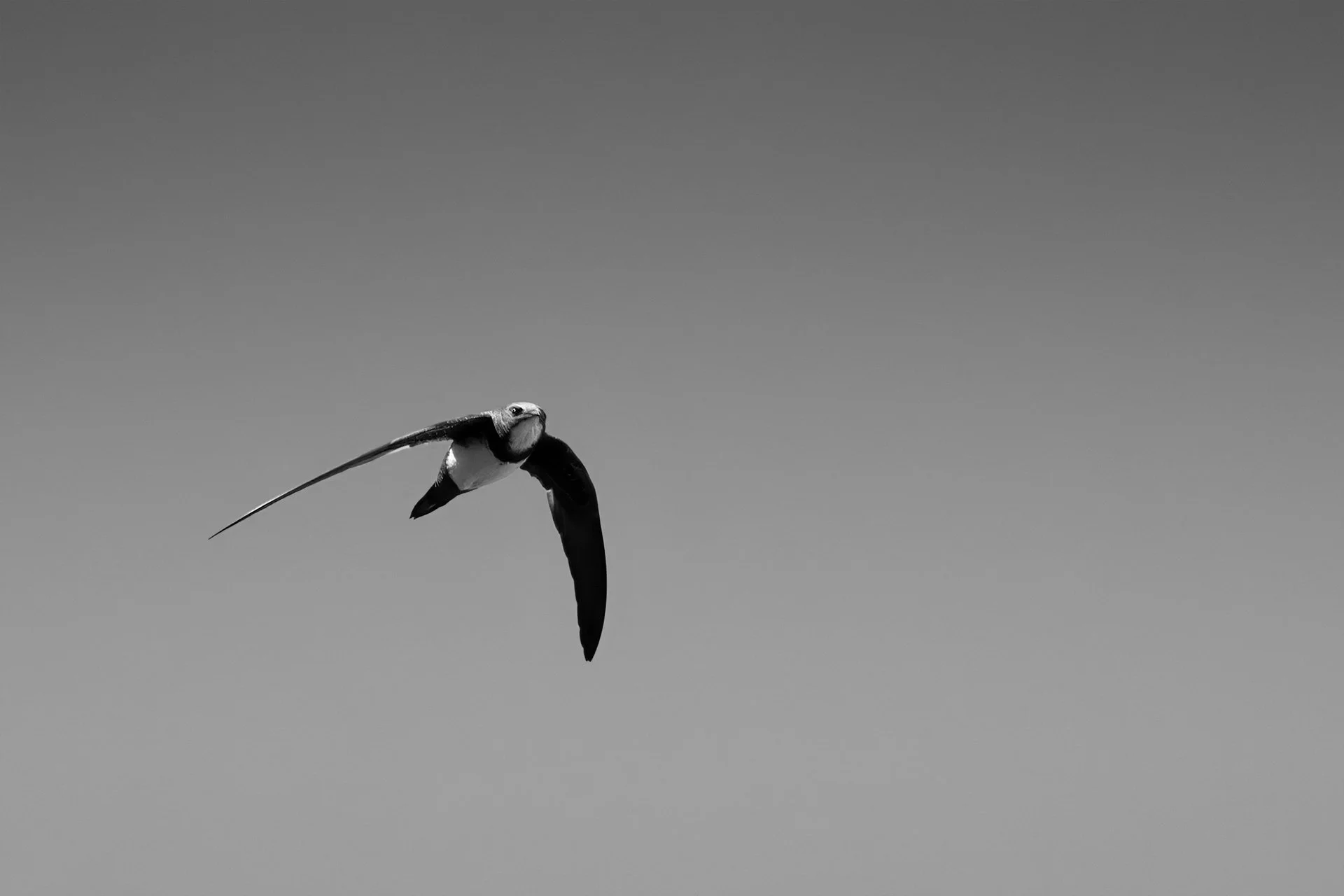 nature_73.jpg