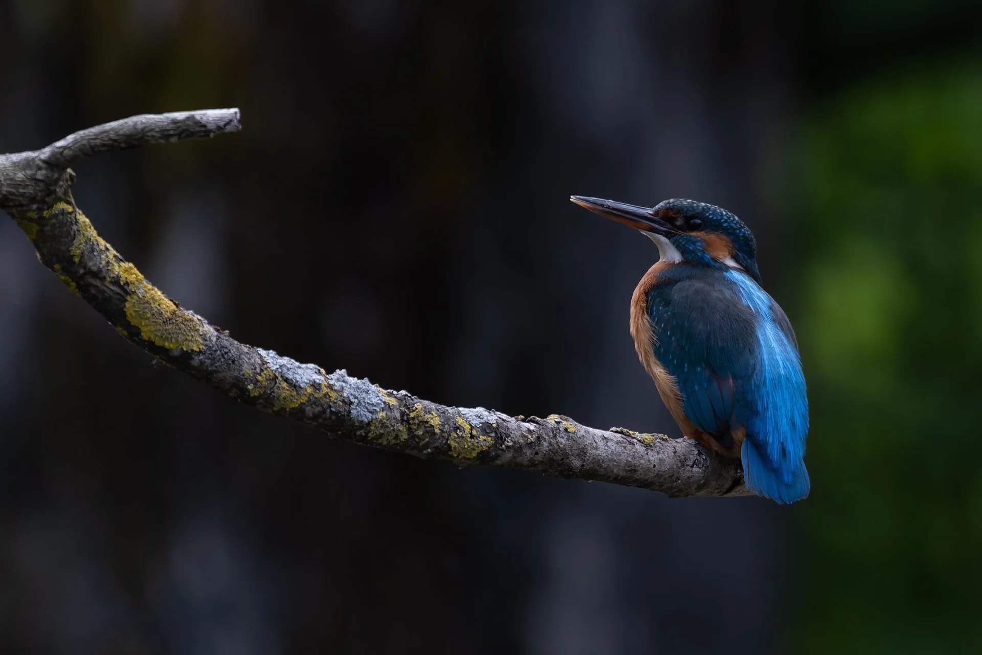 nature_64.jpg