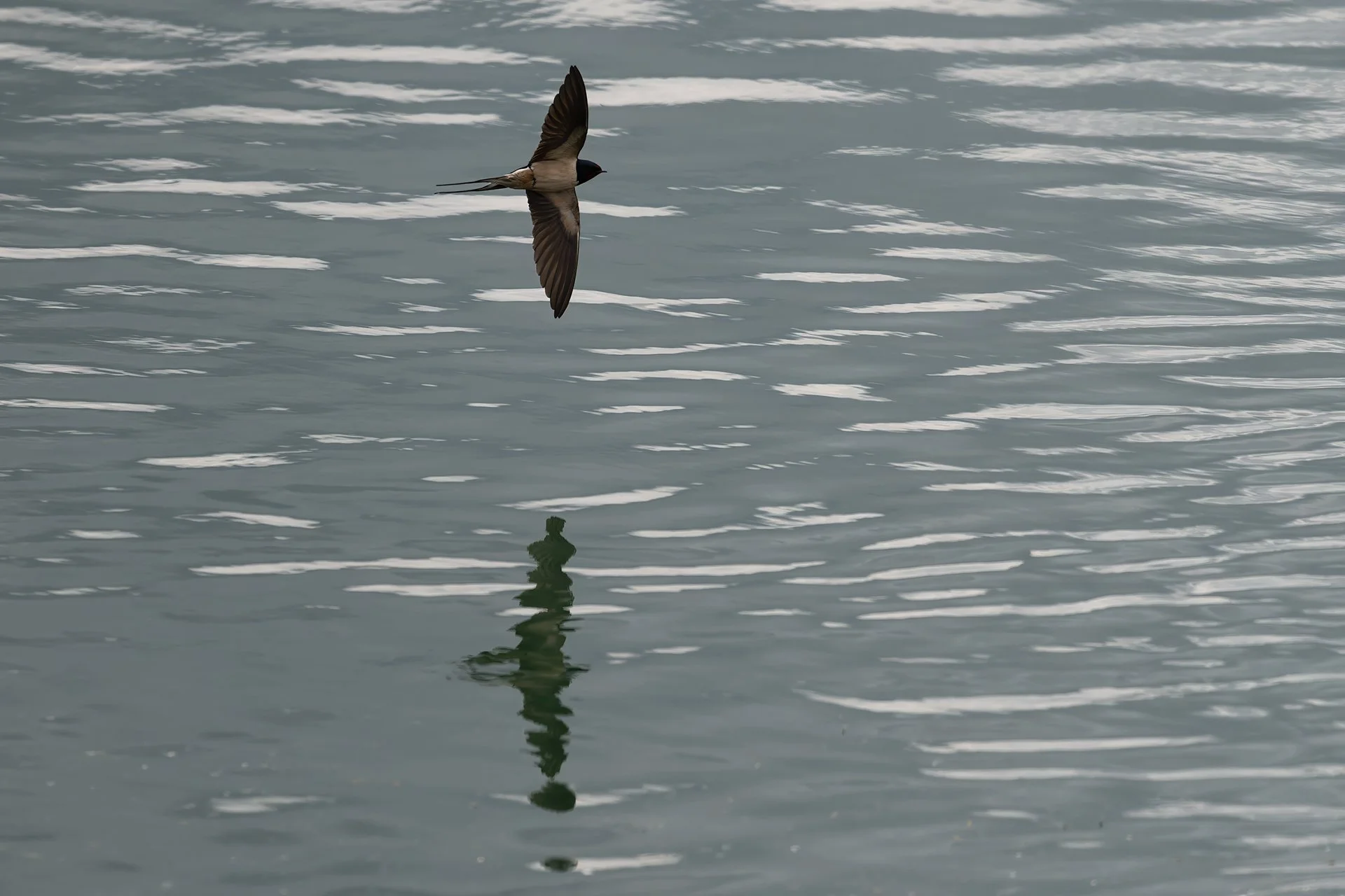nature_68.jpg