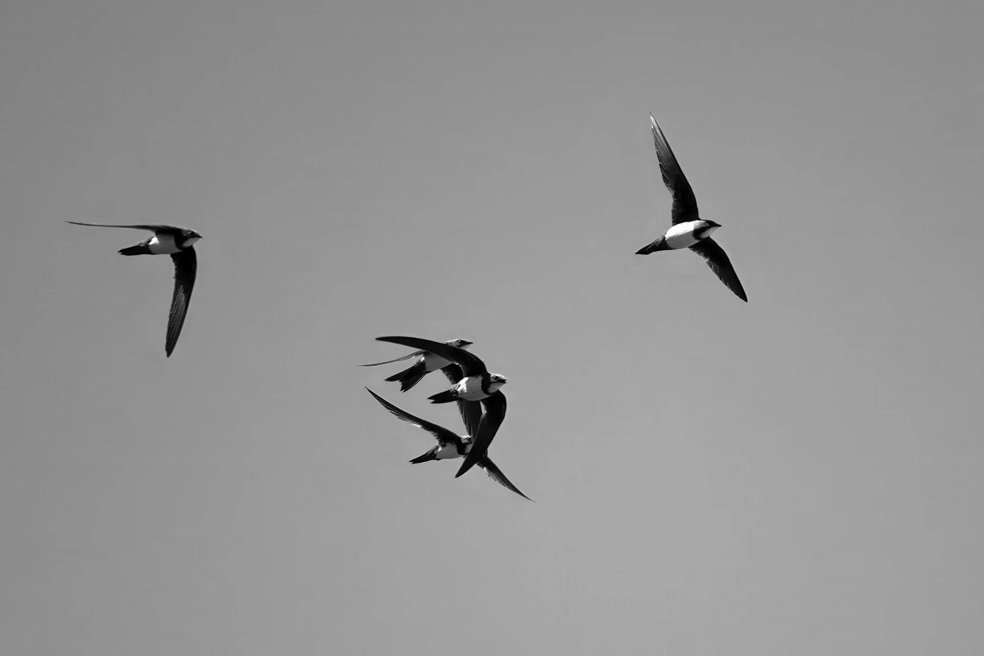 nature_69.jpg
